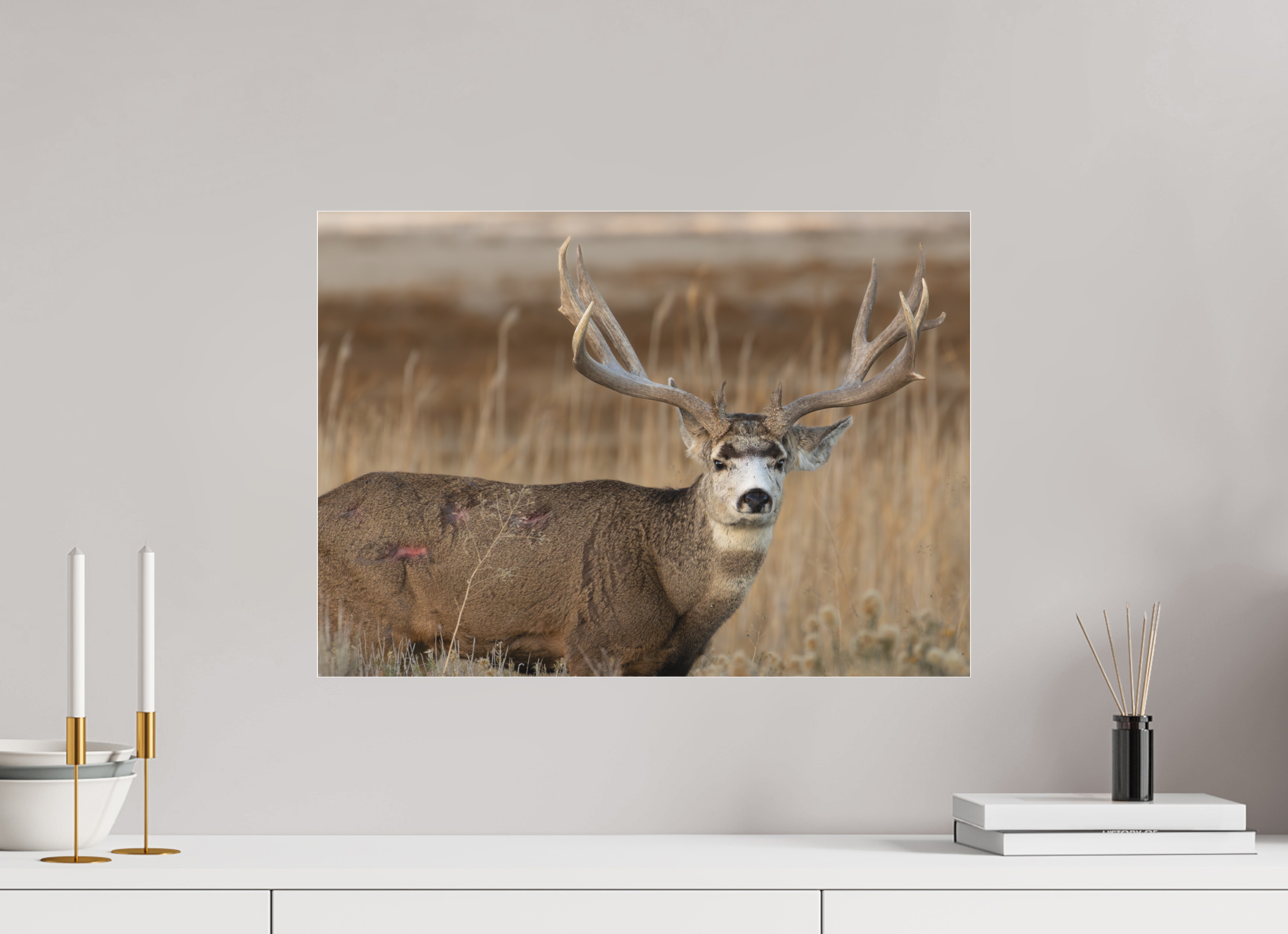 22.4 x 16″, Photo Print Under Matte Acrylic Glass Old Warrior #2
