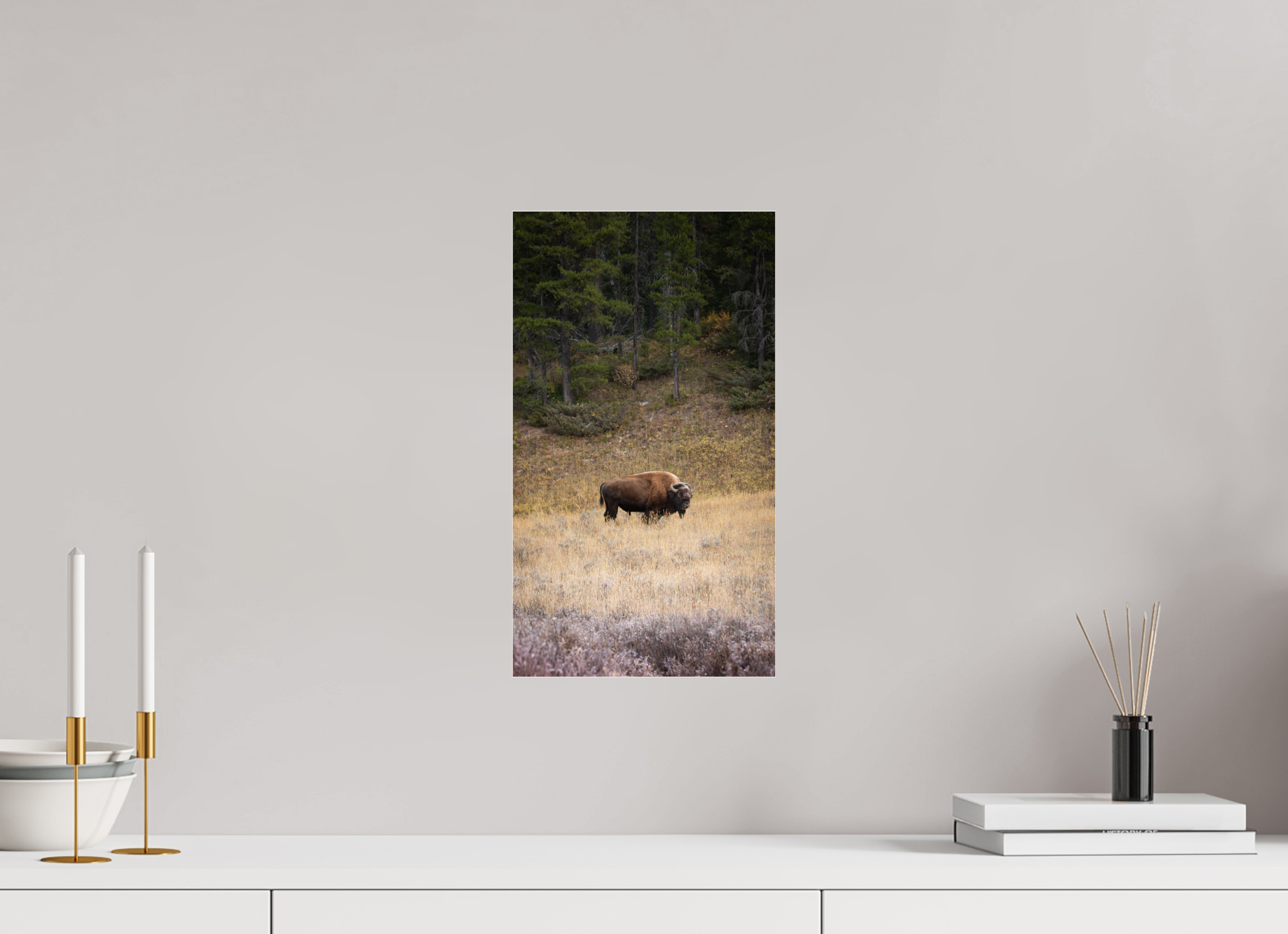 9 x 16″, Photo Print Under Acrylic Glass Frosty Yellowstone Morning