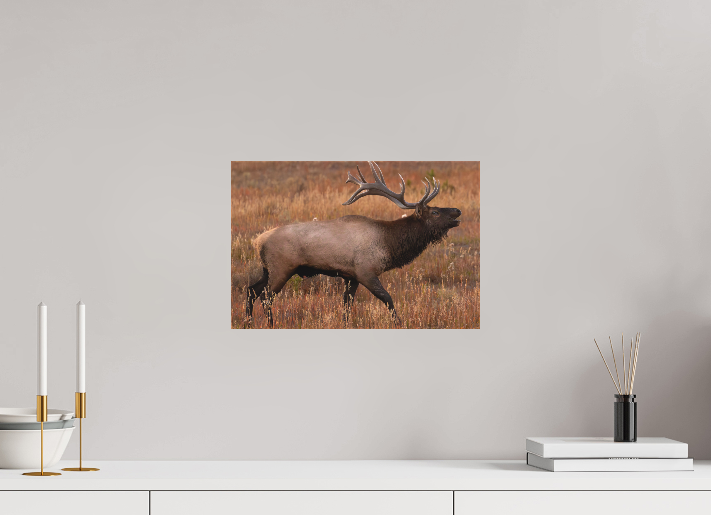 15 x 10″, Matte Canvas Stretcher Fall Royalty