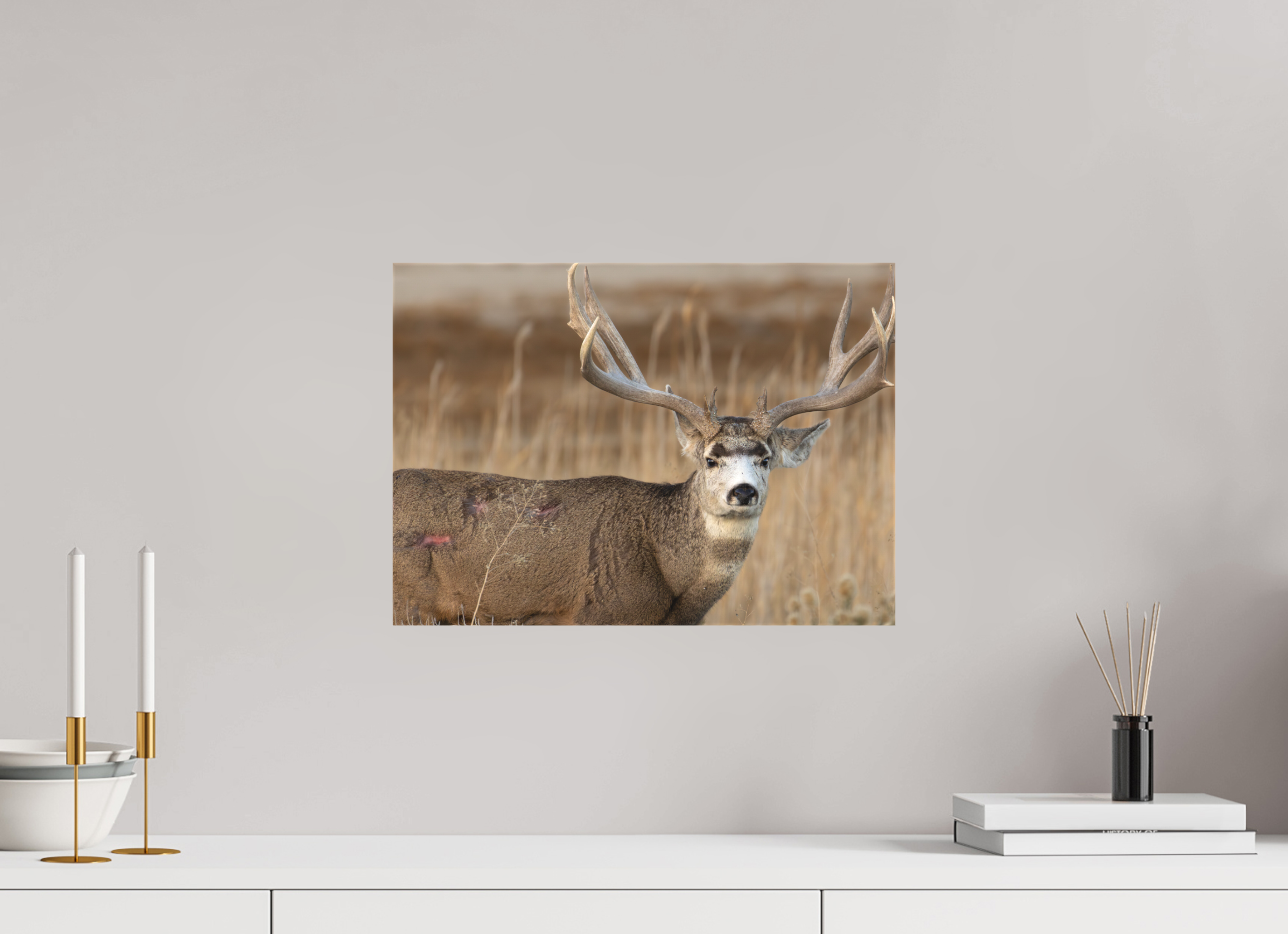 16.8 x 12″, Matte Canvas Stretcher Old Warrior #2