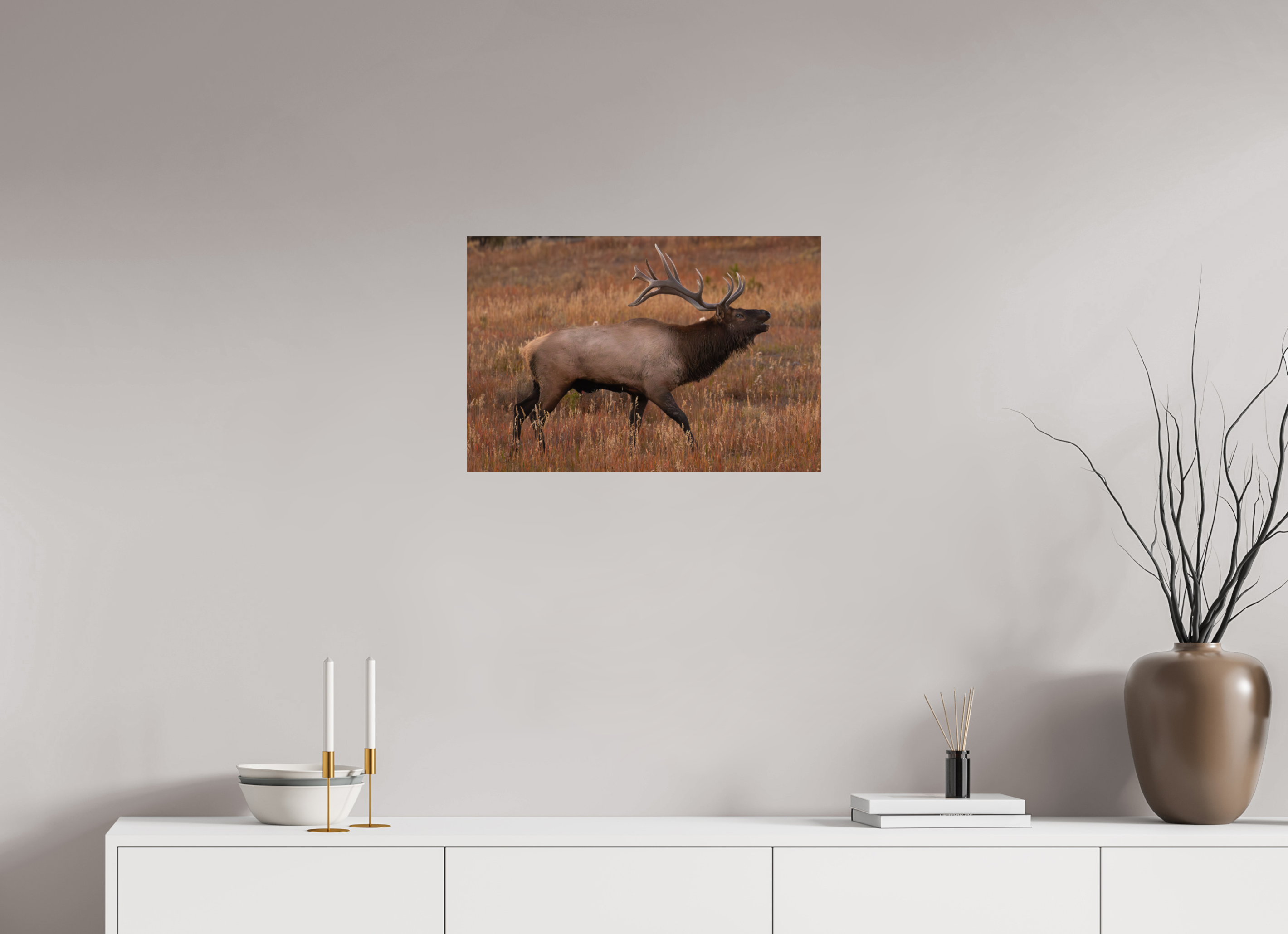 24 x 16″, Photo Print On Fuji Crystal DP II Paper Fall Royalty
