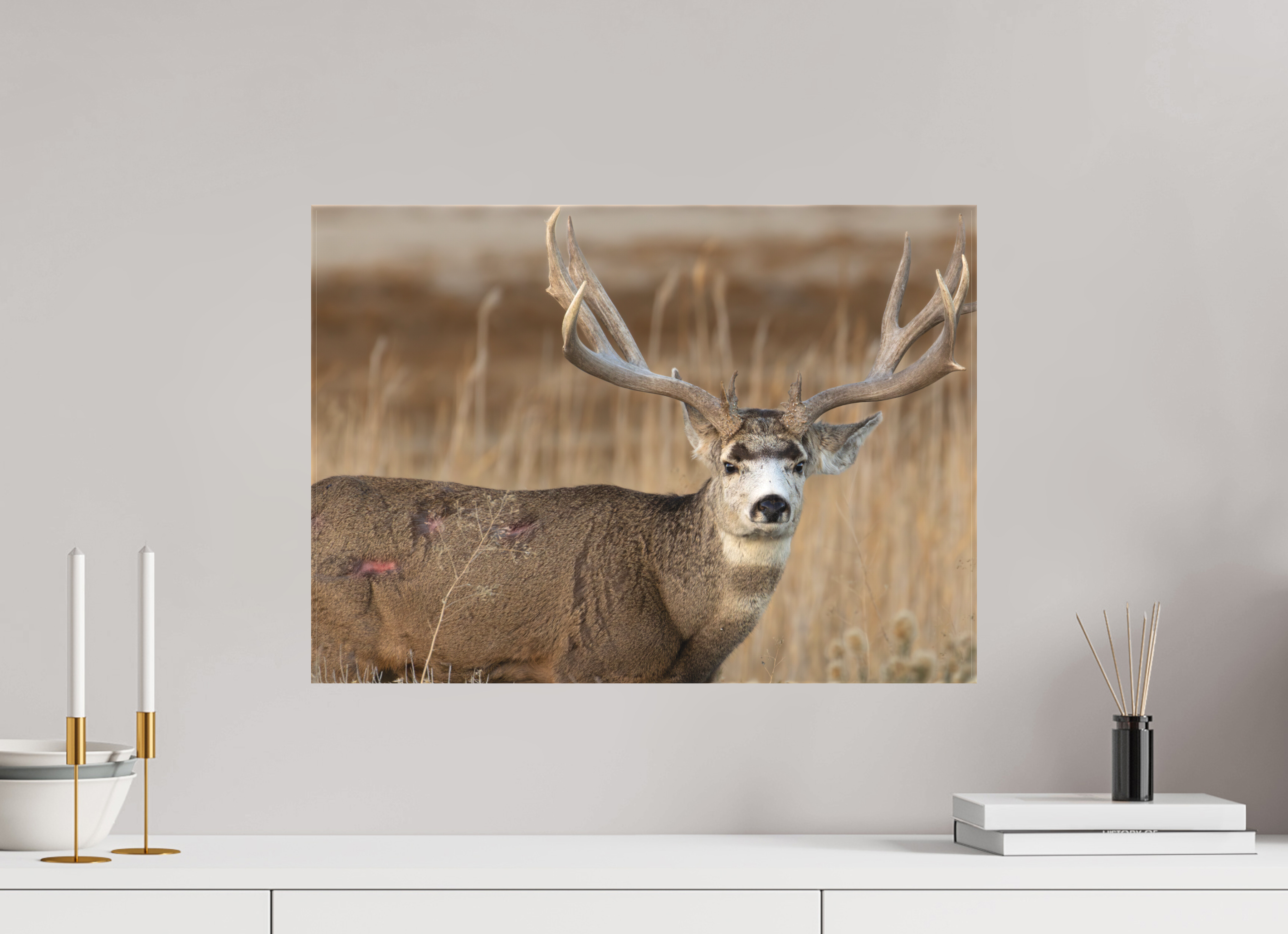 22.4 x 16″, Matte Canvas Stretcher Old Warrior #2