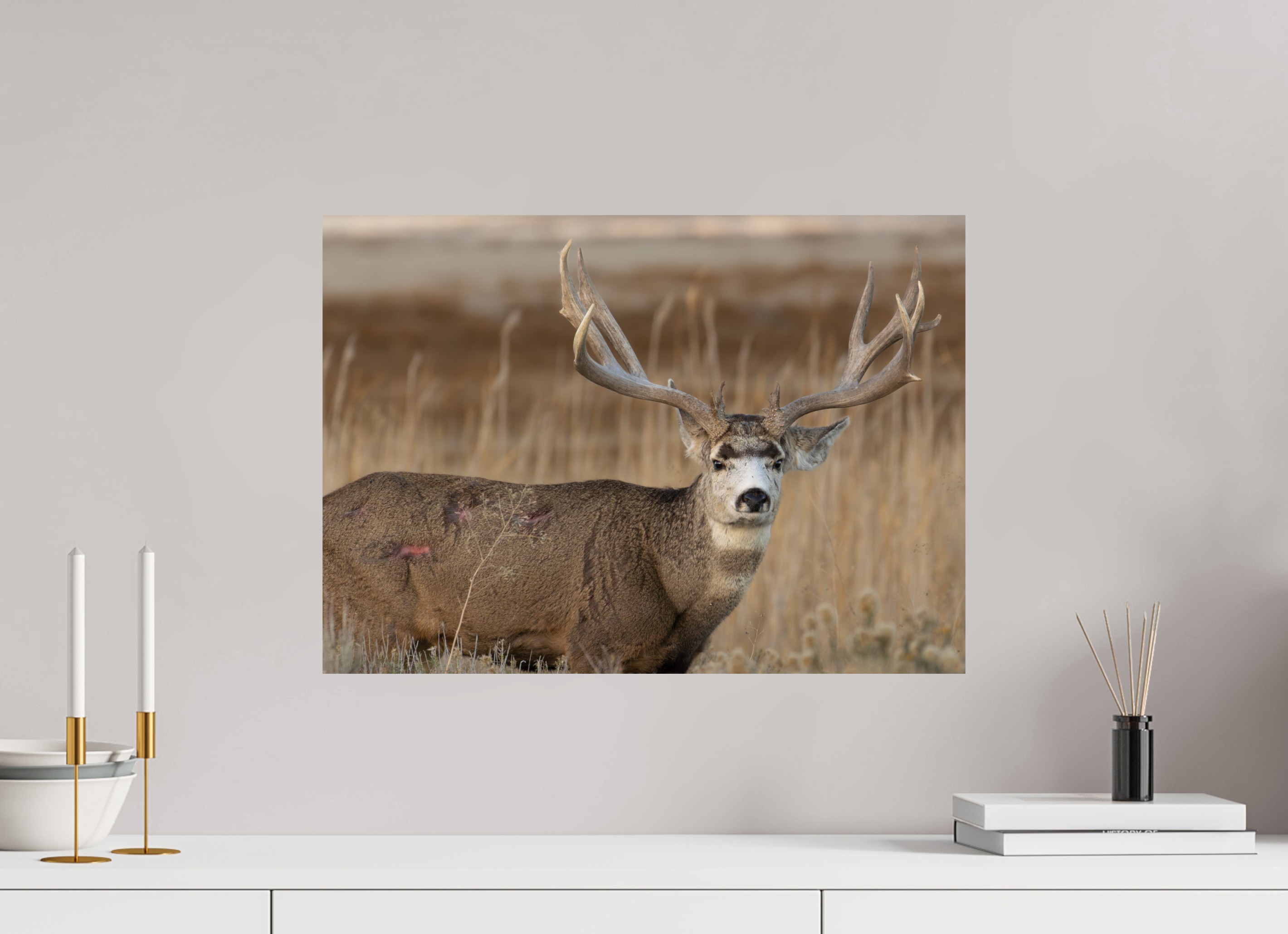 22.4 x 16″, Photo Print On Fuji Crystal DP II Old Warrior #2