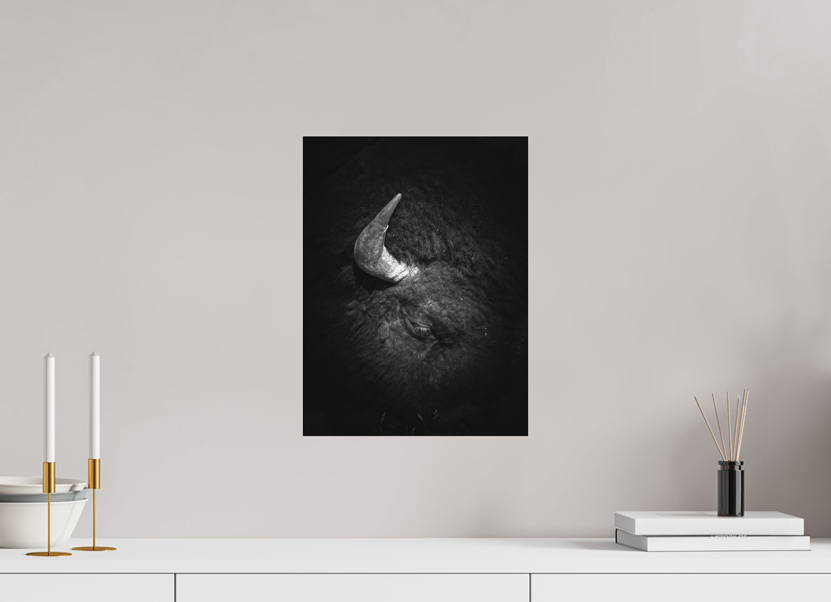 12 x 16″, B&W Photo Print Under Acrylic Glass Beauty in Brawn