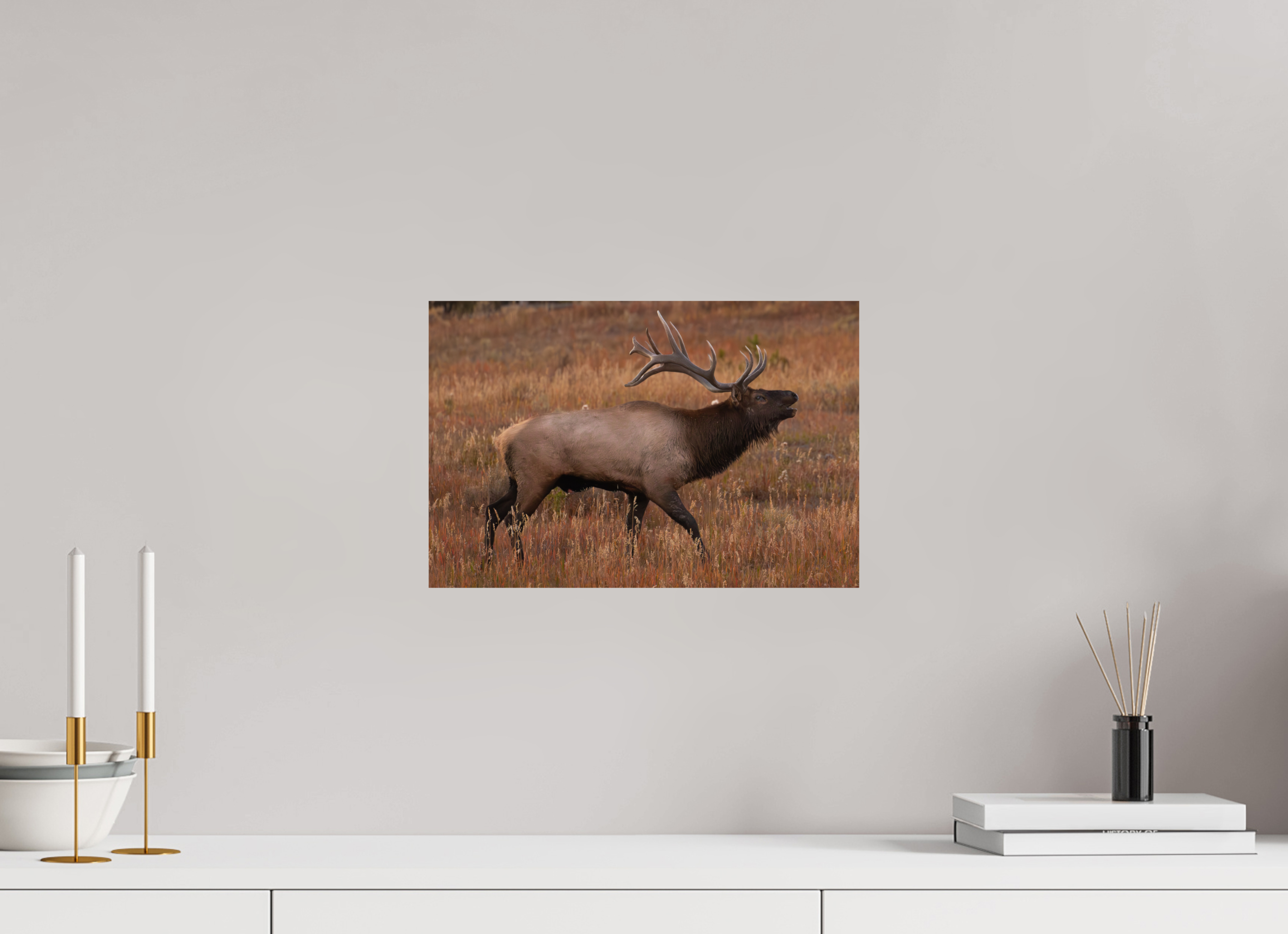 15 x 10″, Fine Art Print Fall Royalty
