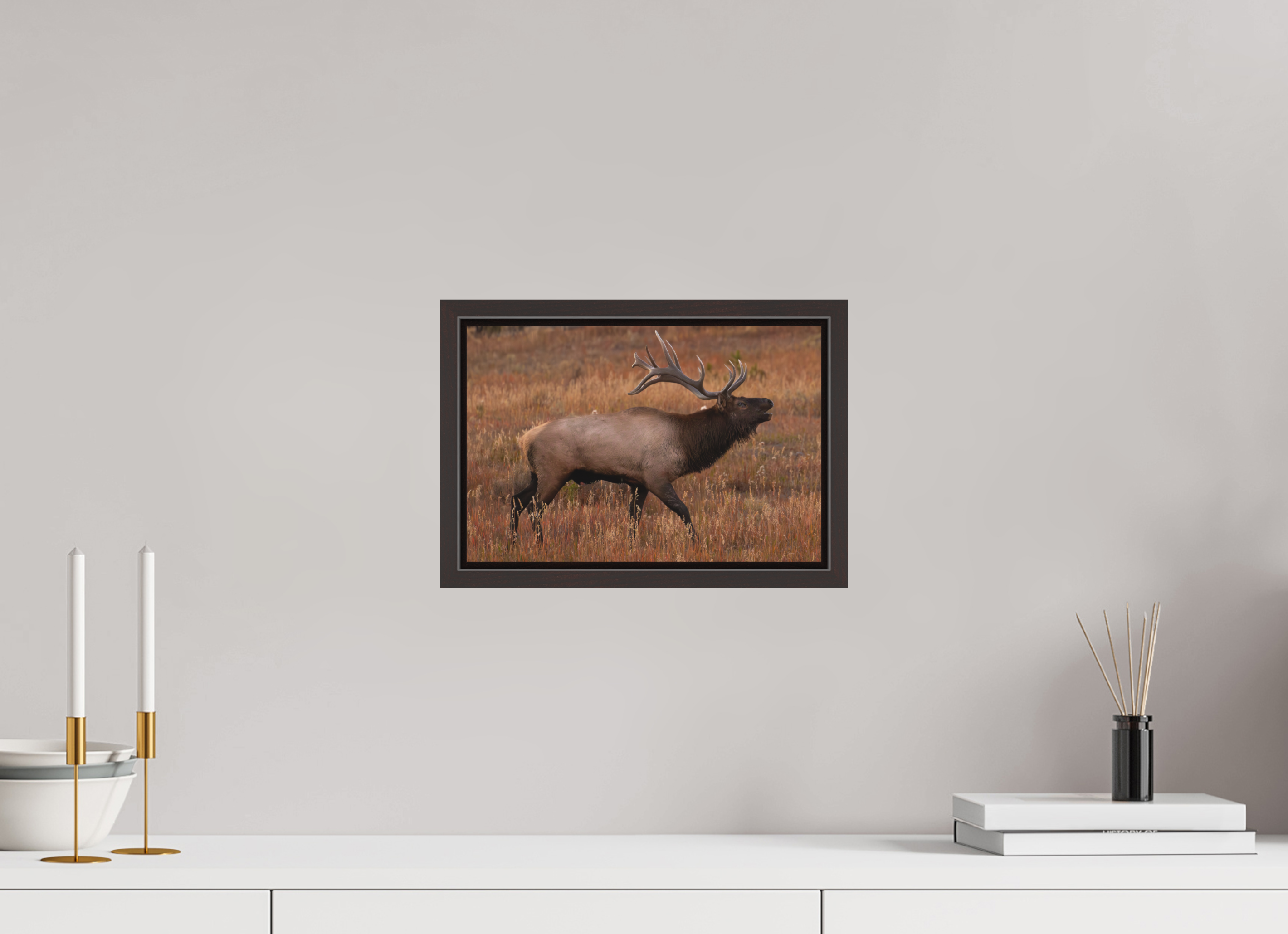 12 x 8″, Floater Frame Matte Fall Royalty