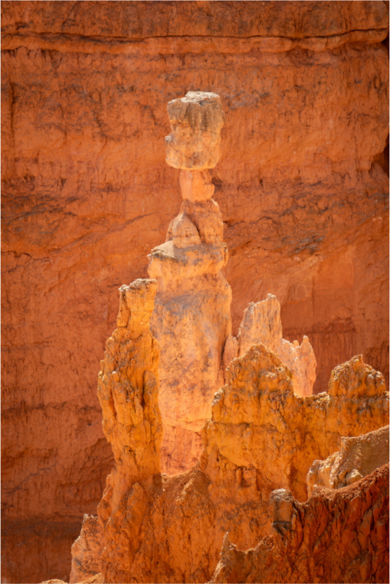 Main image Thor's Hammer