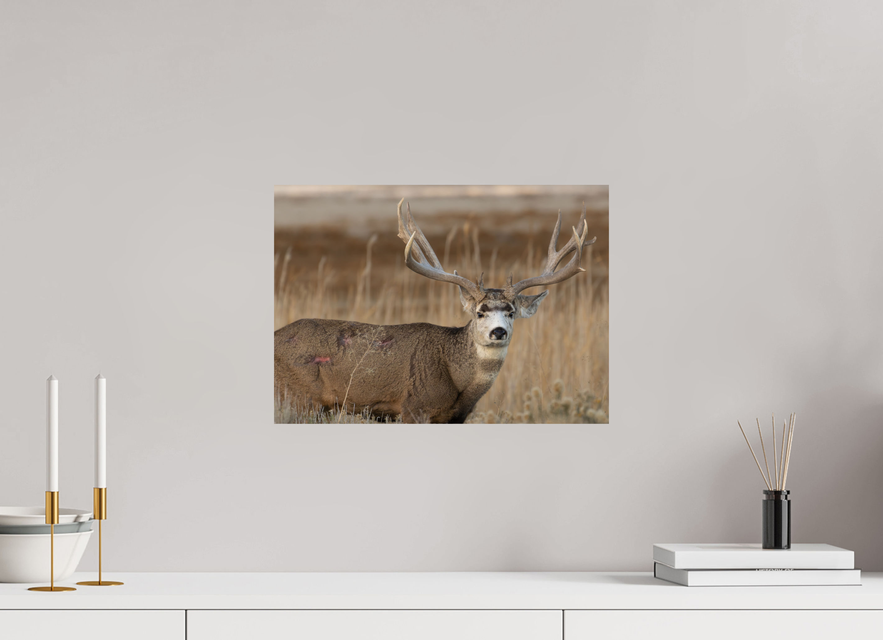 16.8 x 12″, Direct Print On Aluminum Color Old Warrior #2