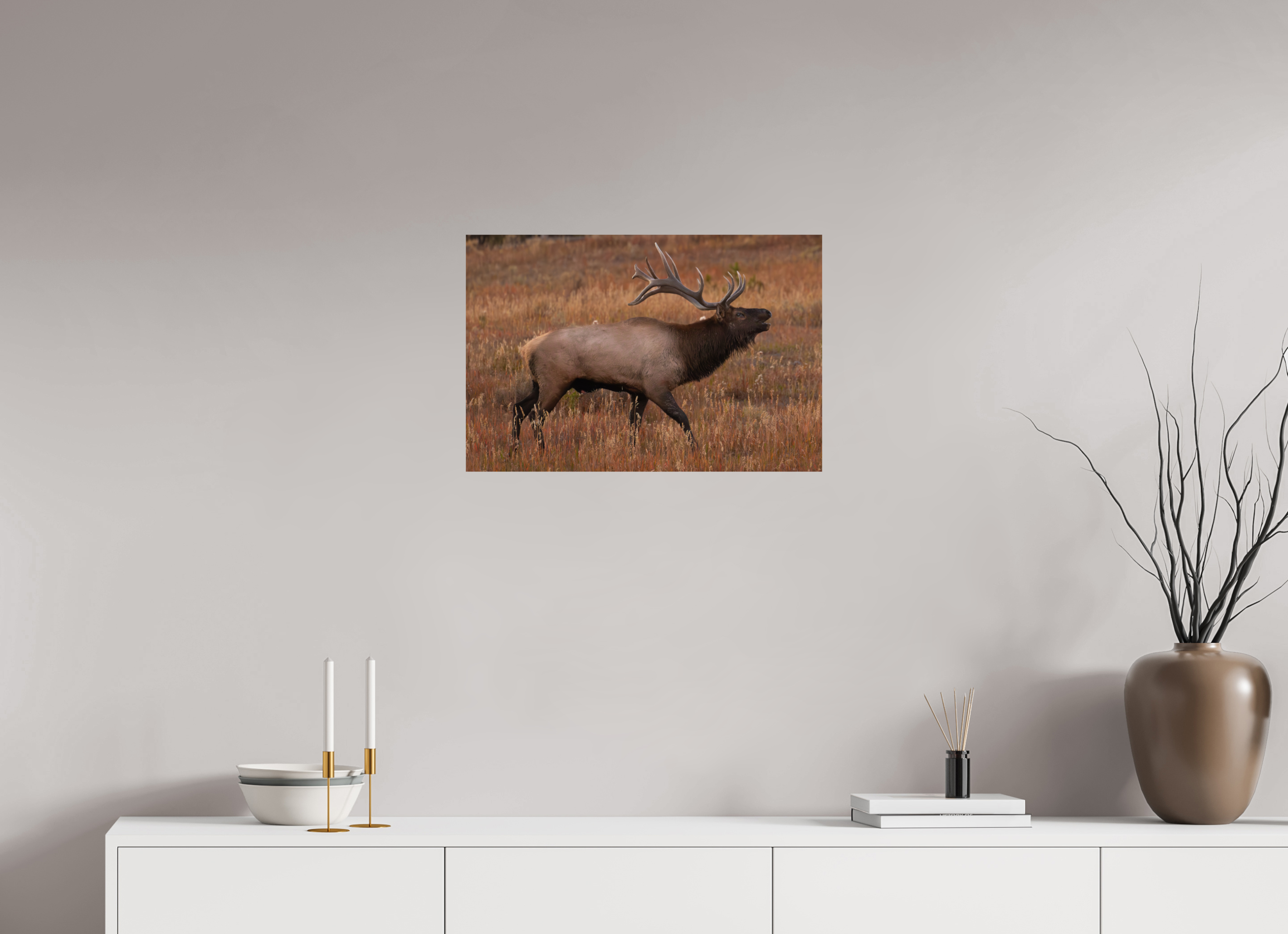 24 x 16″, Direct Print On Aluminum Color Fall Royalty