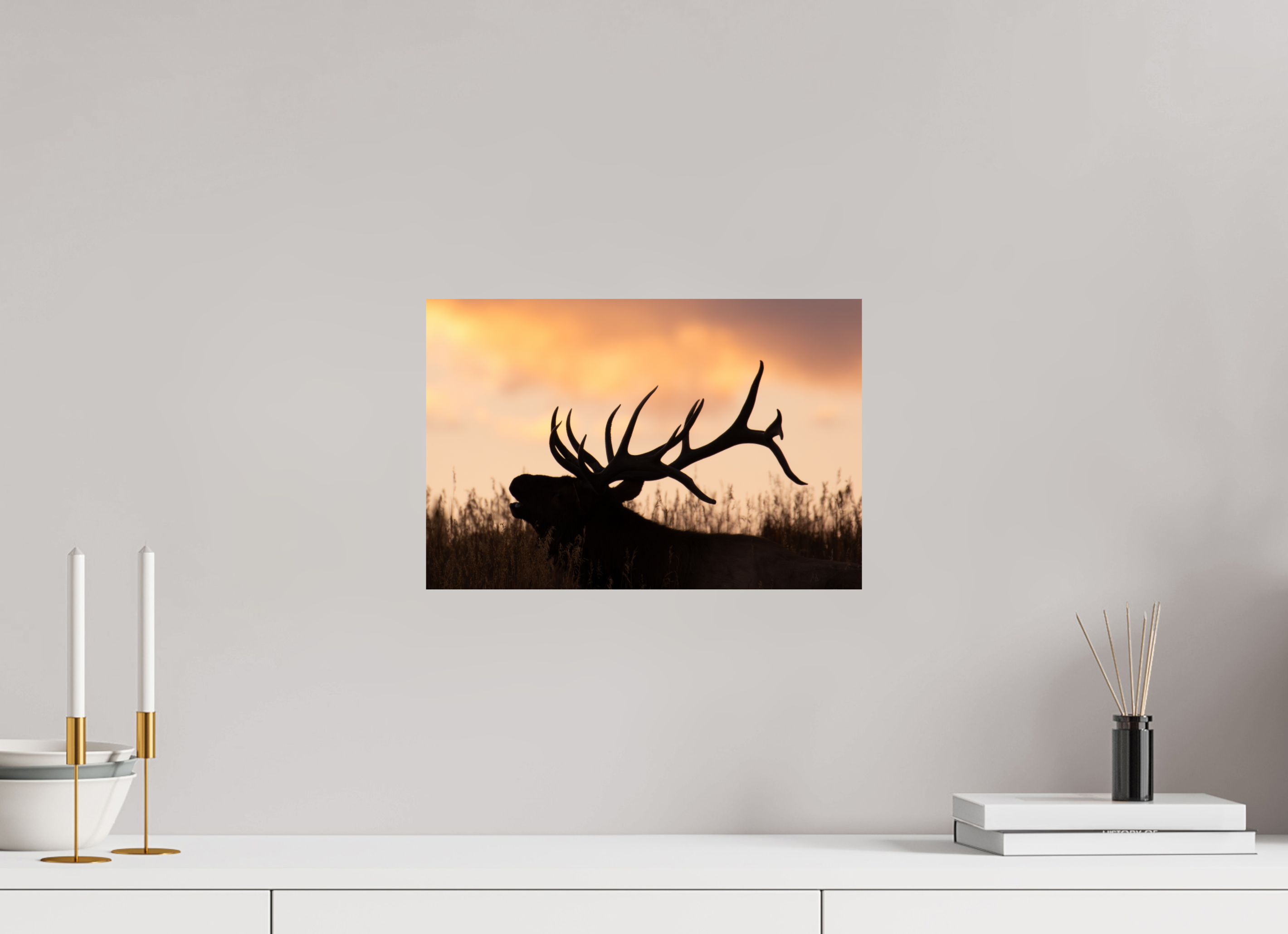 15 x 10″, Direct Print On Aluminum Color A King's Crown