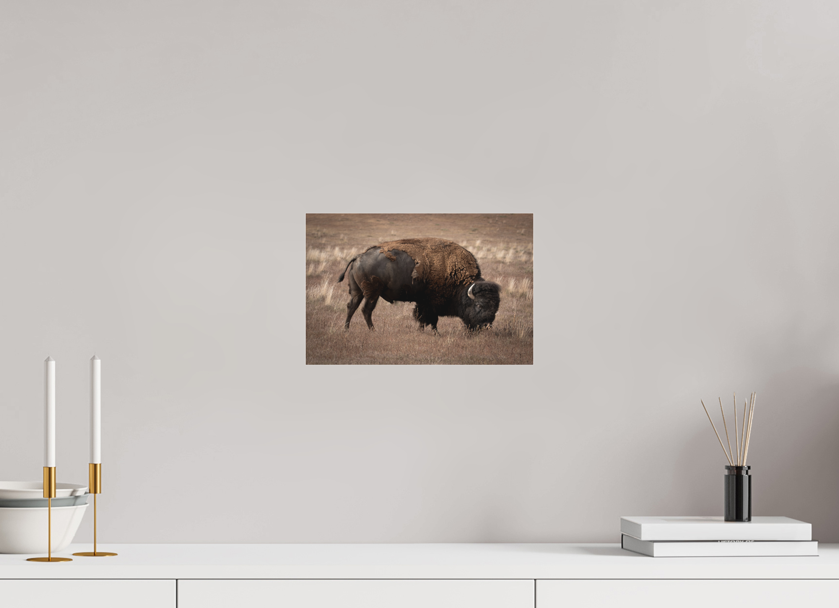 12 x 8″, Photo Print Under Matte Acrylic Glass Home On The Plains