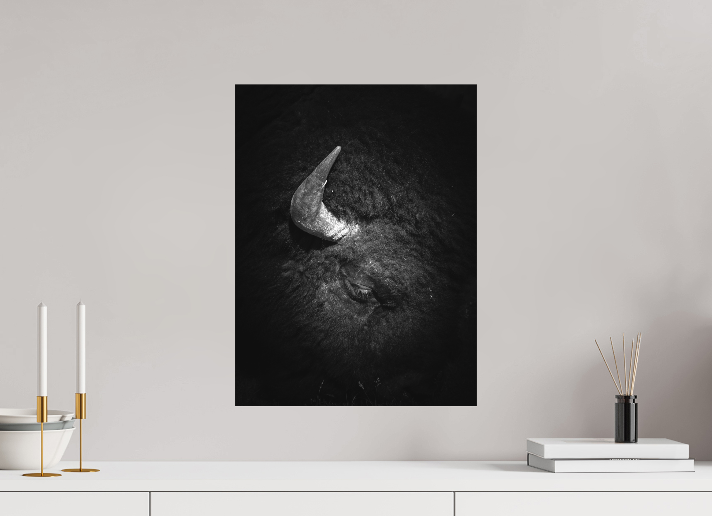 15 x 20″, Ilford B&W Print on Aluminum Beauty in Brawn