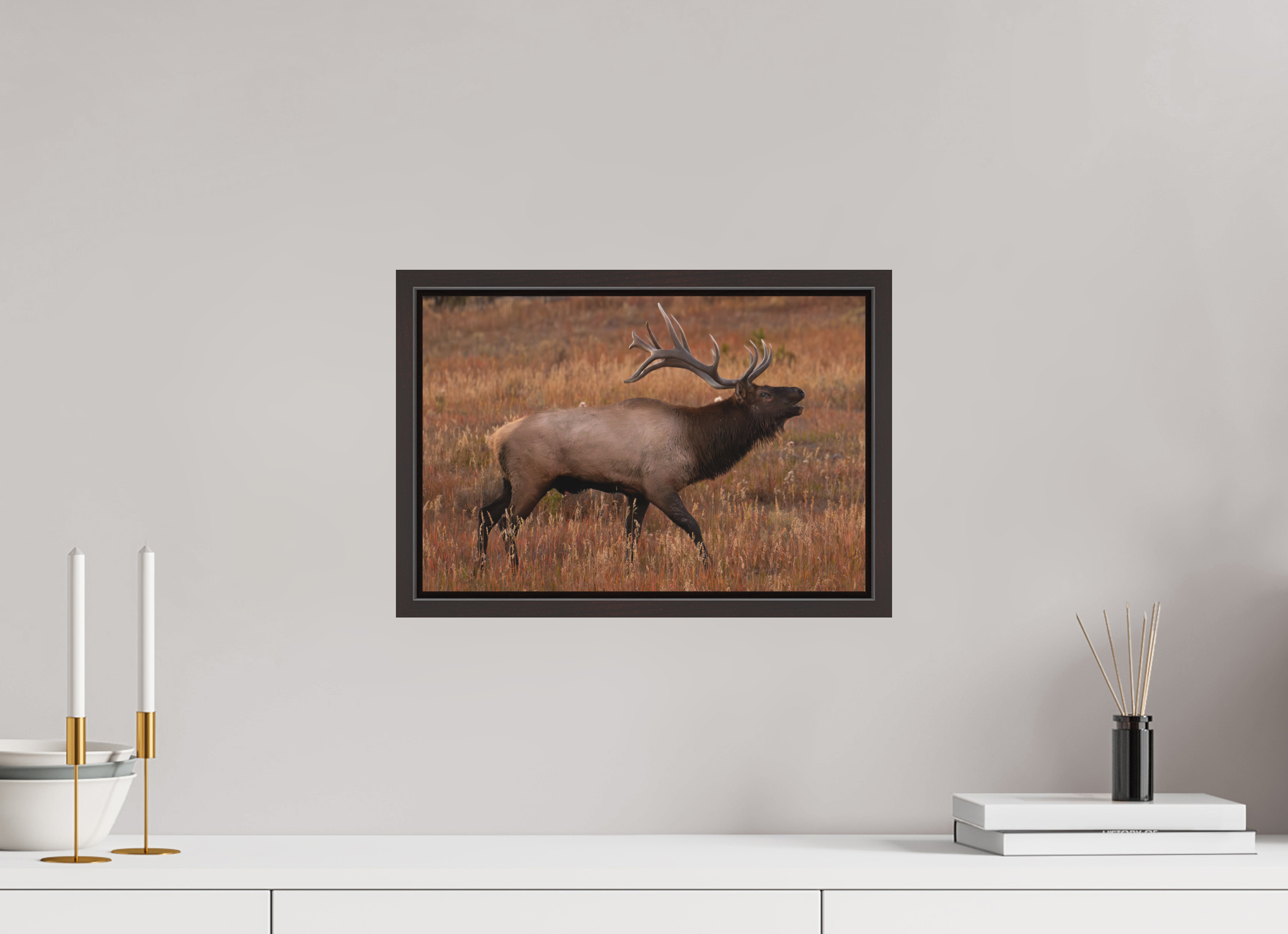 15 x 10″, Floater Frame Matte Fall Royalty