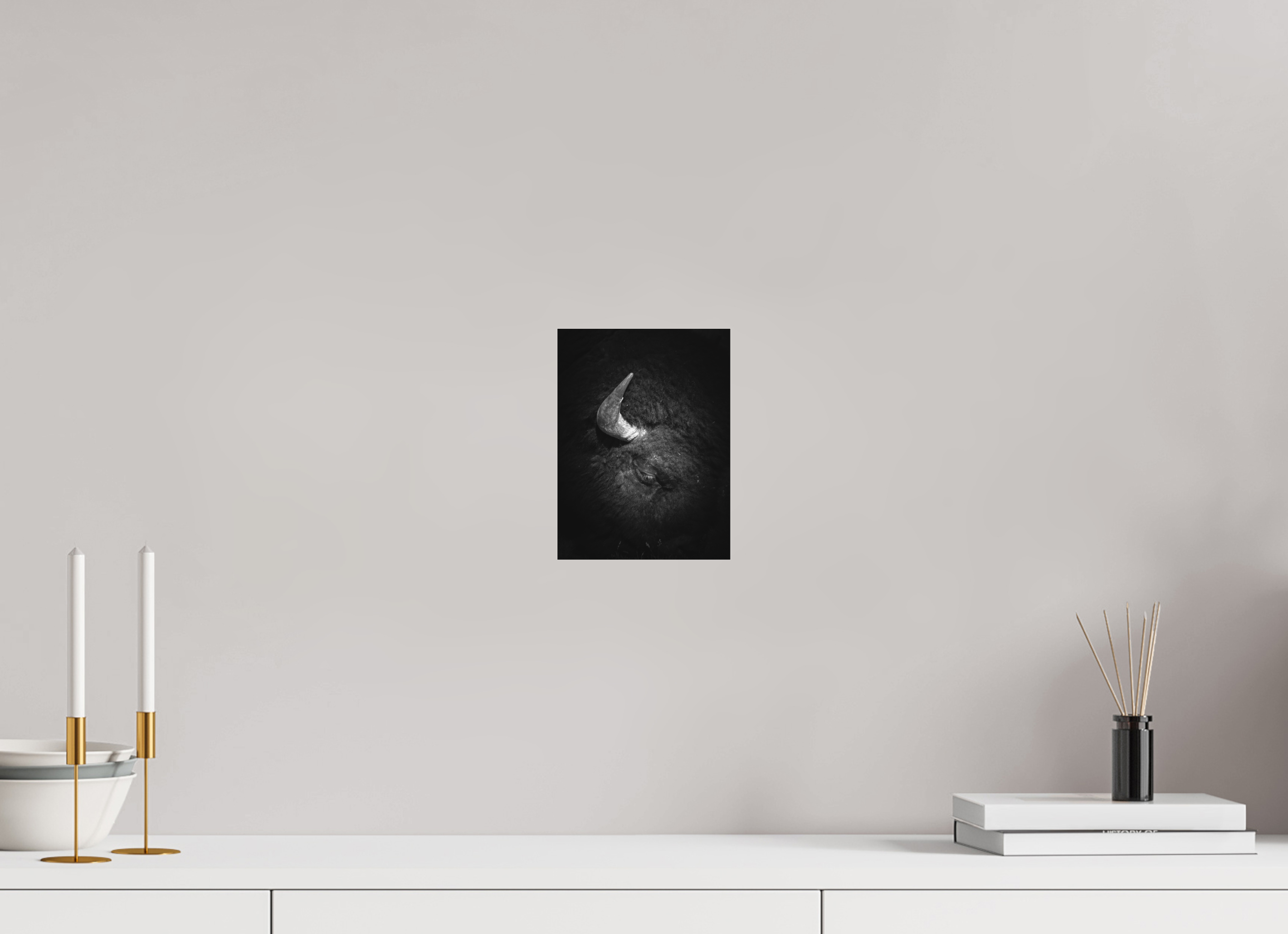 6 x 8″, B&W Photo Print Under Acrylic Glass Beauty in Brawn
