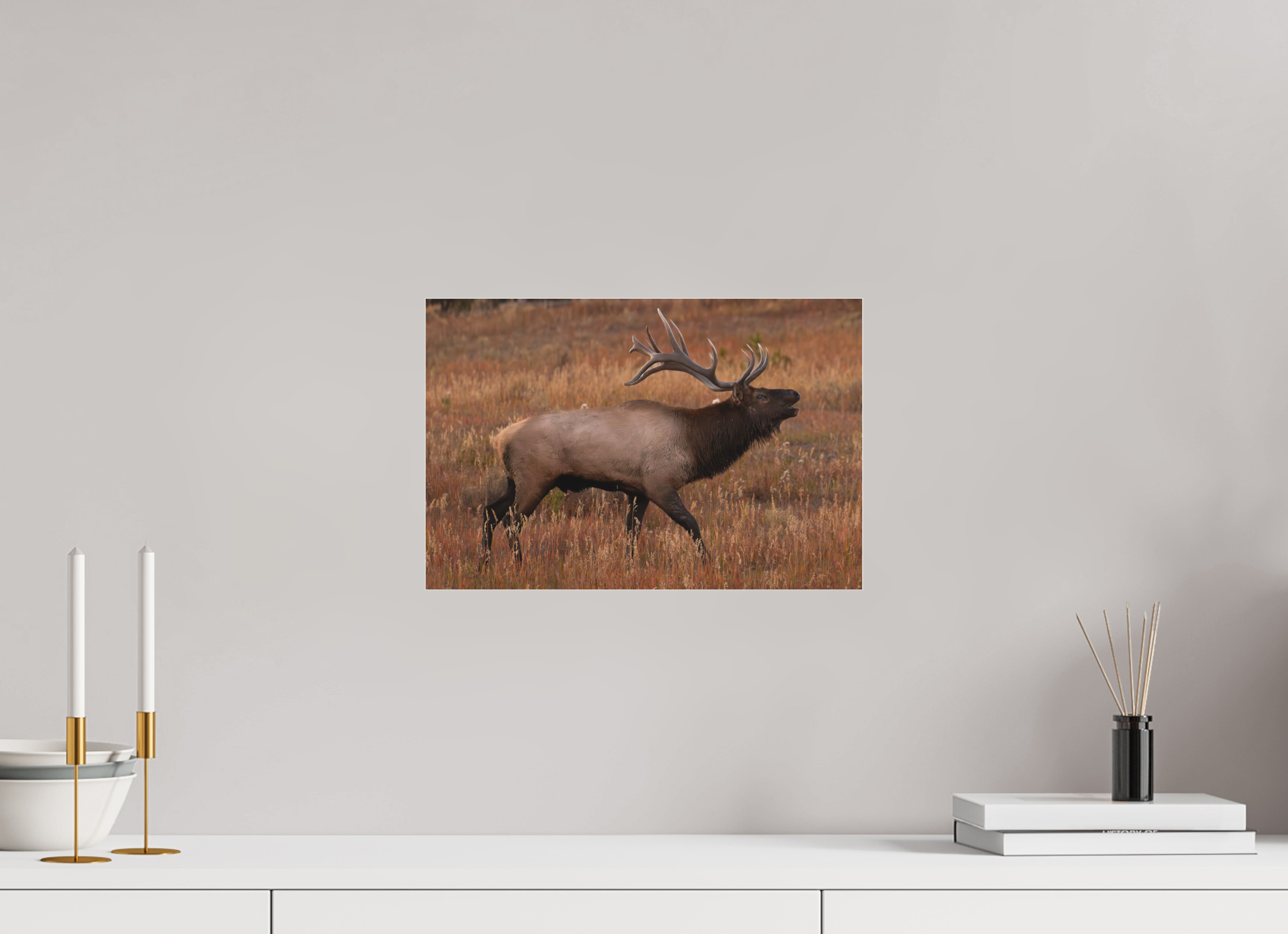 15 x 10″, Photo Print Under Matte Acrylic Glass Fall Royalty
