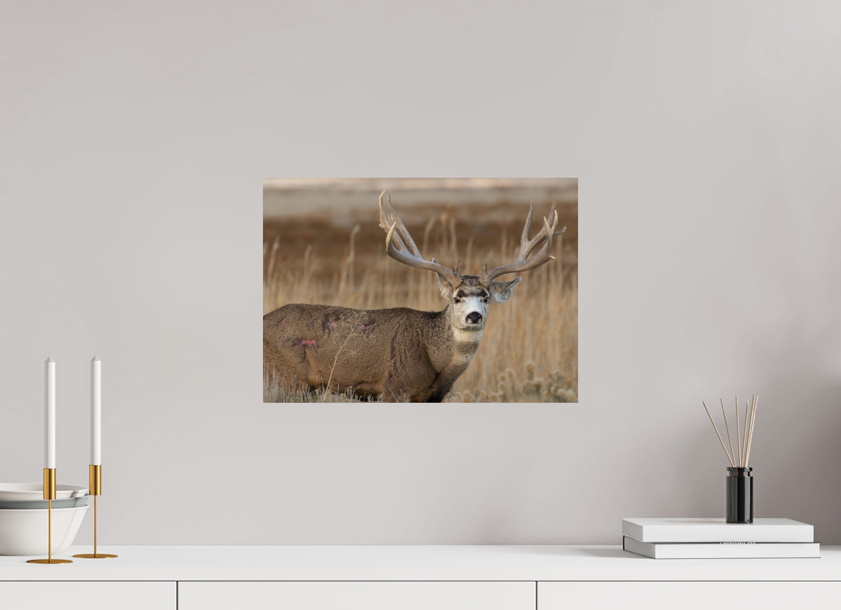 16.8 x 12″, Photo Print On Fuji Crystal DP II Old Warrior #2