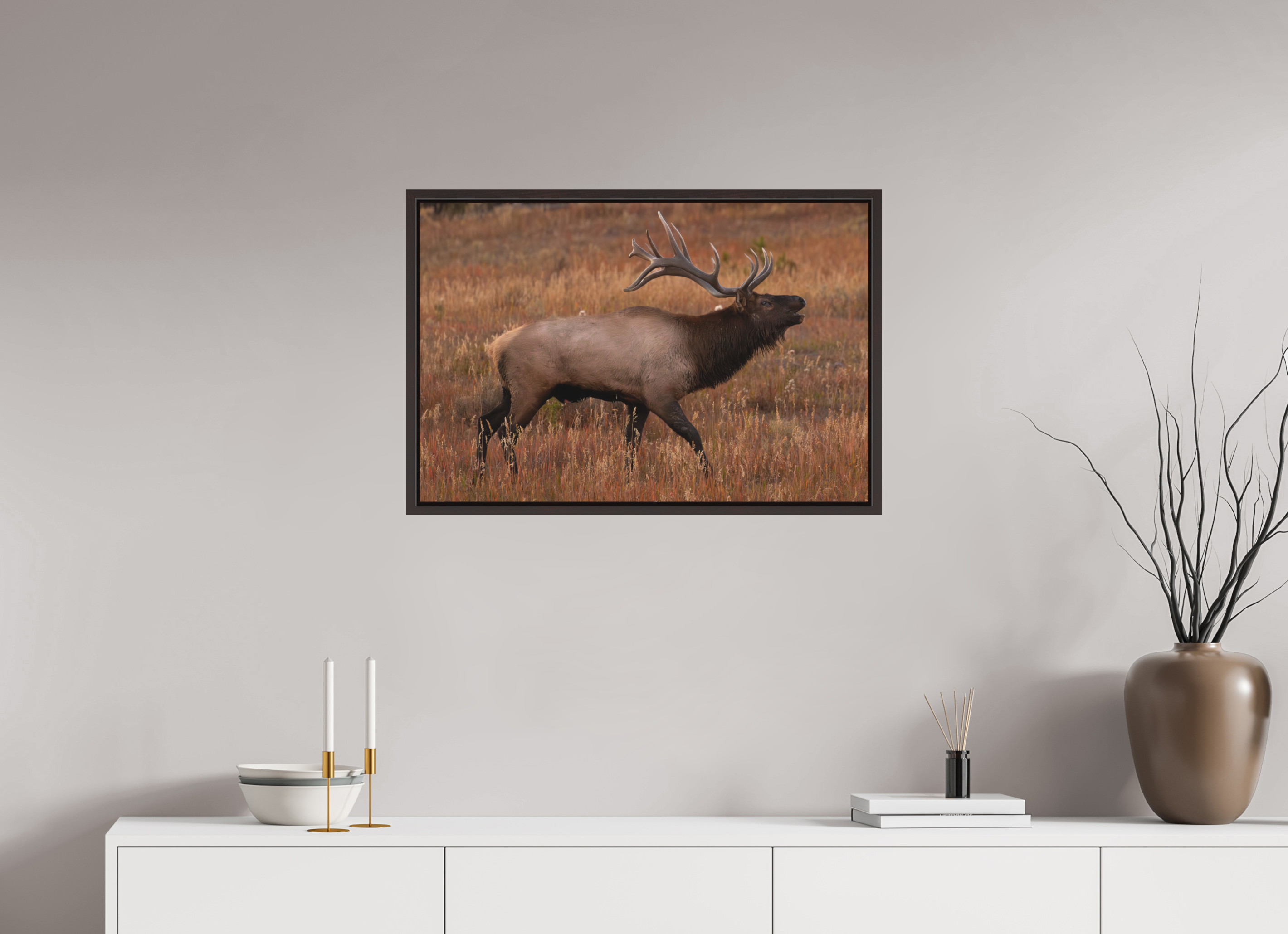30 x 20″, Floater Frame Matte Fall Royalty