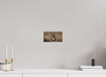 8 x 4.5″, Photo Print On Fuji Crystal DP II Old Warrior #1