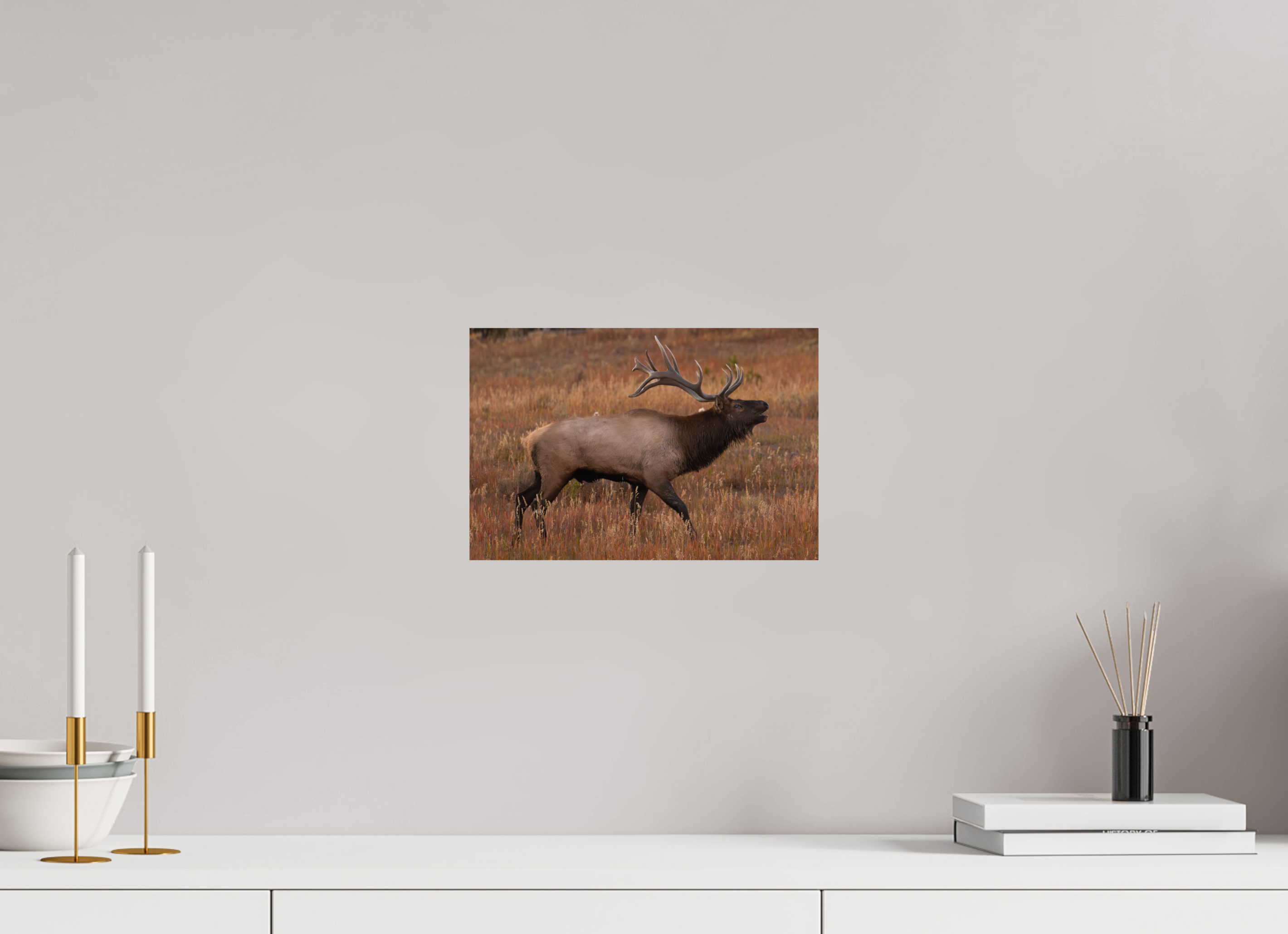 12 x 8″, Direct Print On Aluminum Color Fall Royalty