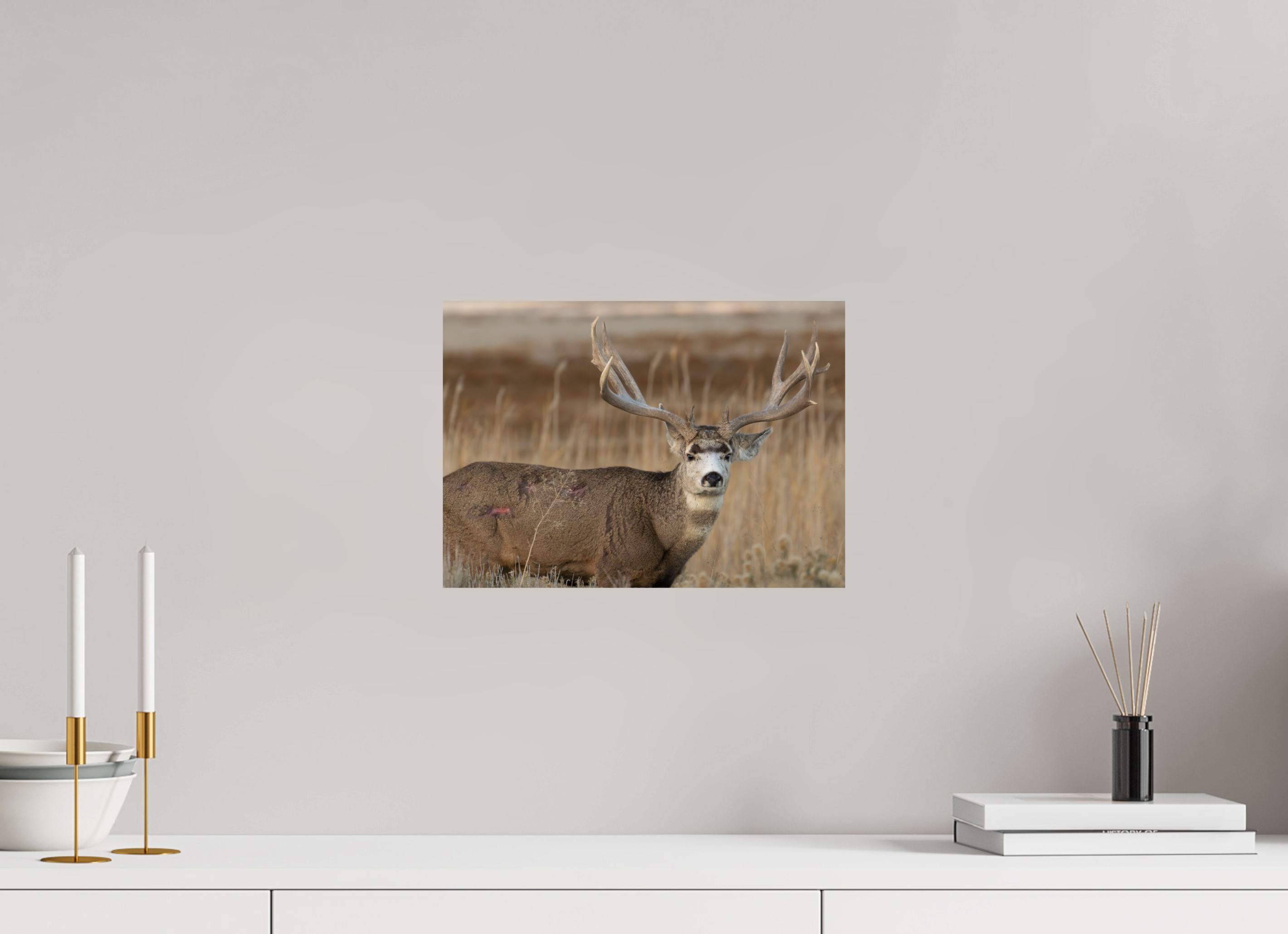 14 x 10″, Fine Art Print Old Warrior #2