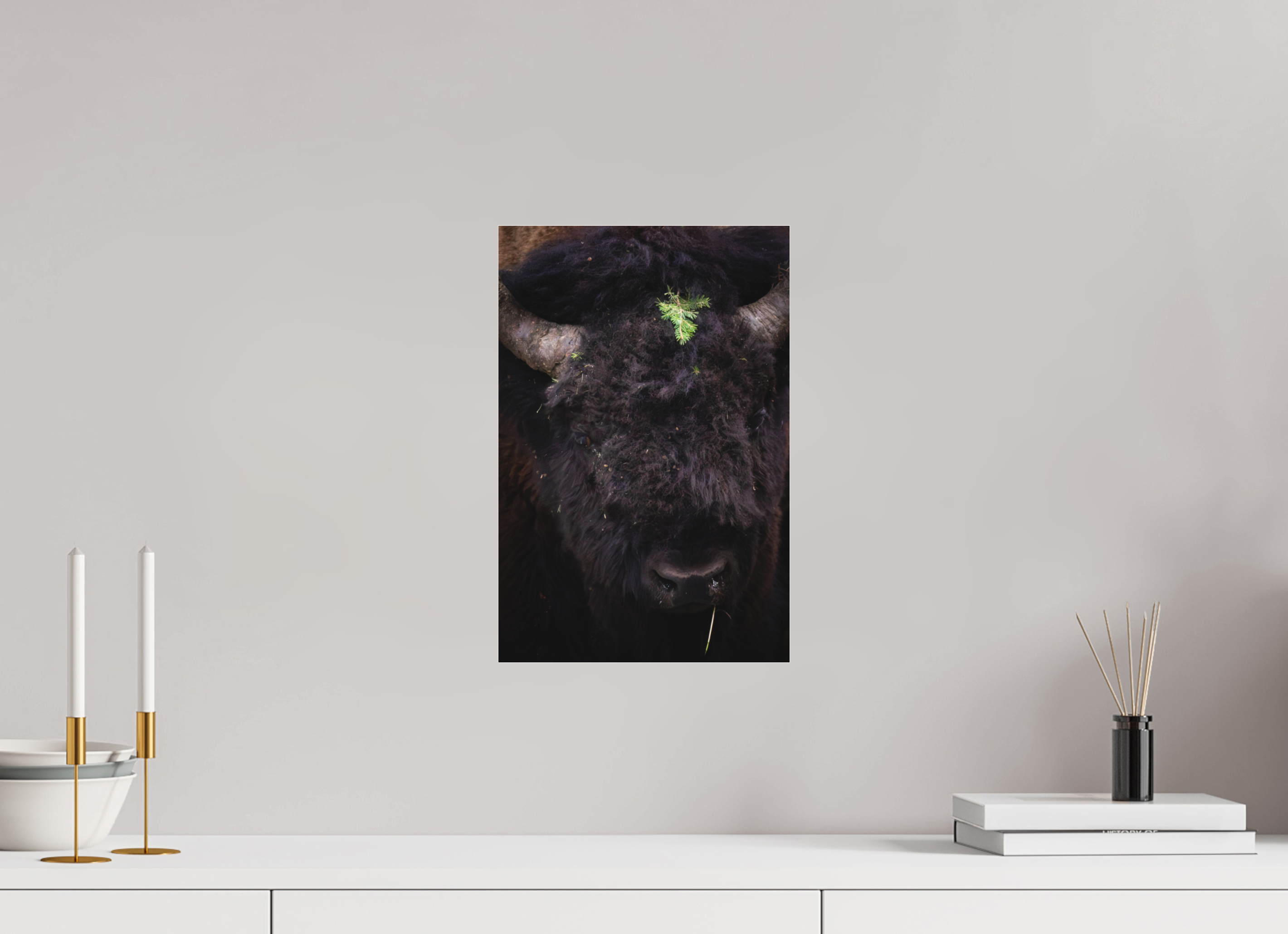 10 x 15″, Photo Print Under Matte Acrylic Glass Dressed To Impress