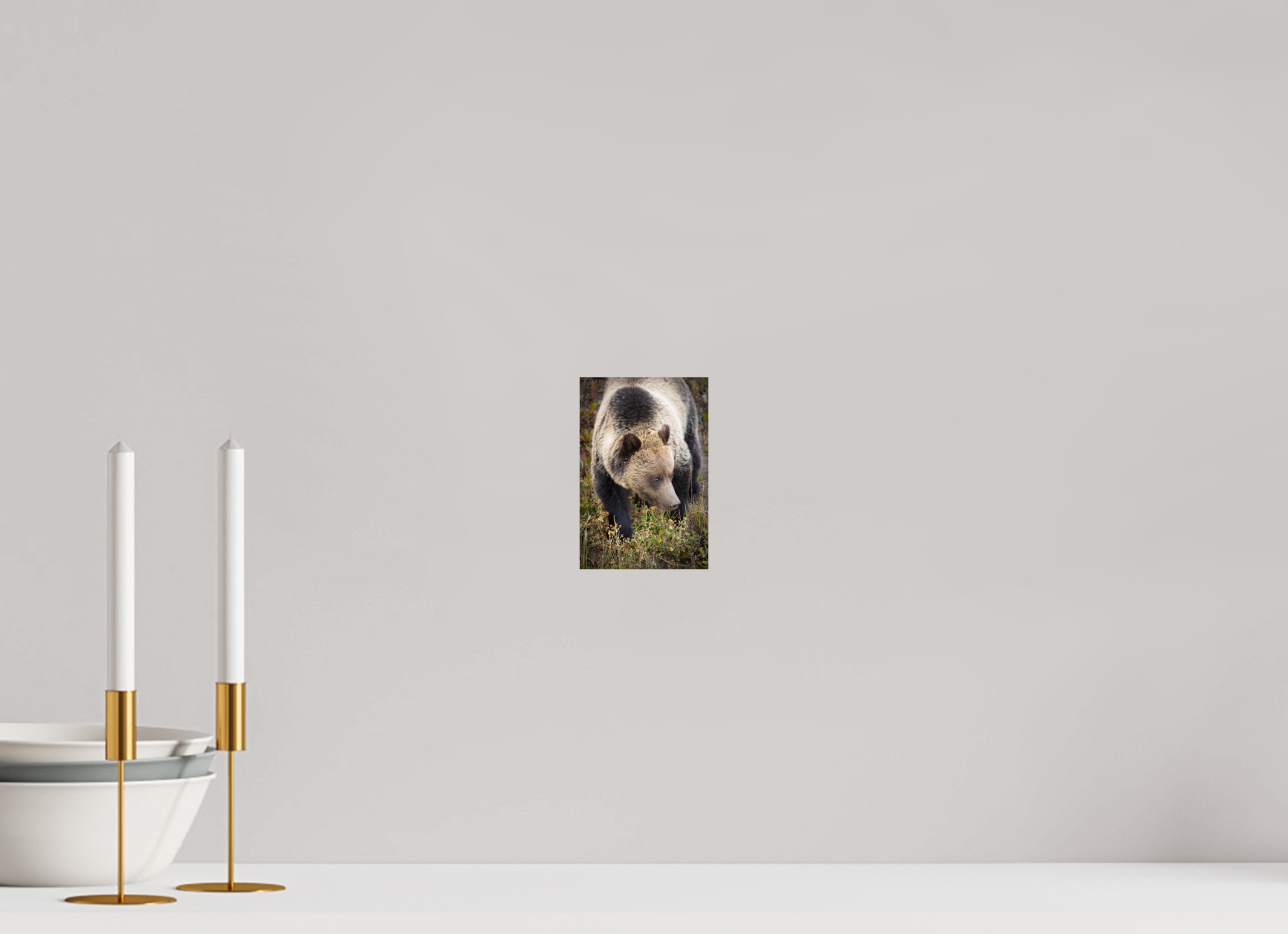 4 x 6″, Photo Print On Fuji Crystal DP II Paper Ben The Bear