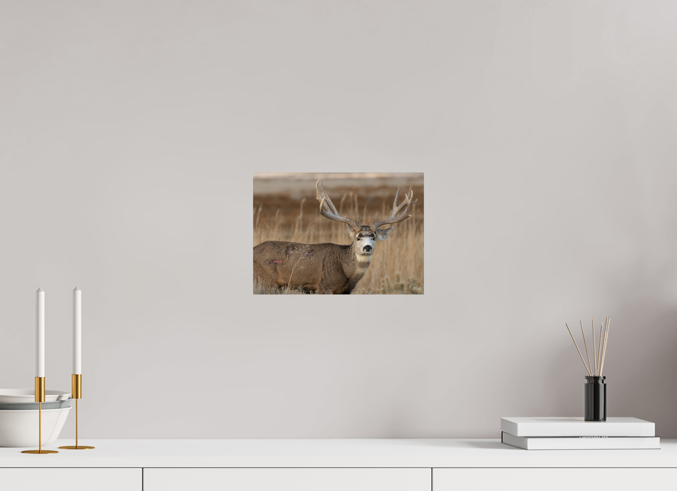 11.2 x 8″, Direct Print On Aluminum Color Old Warrior #2