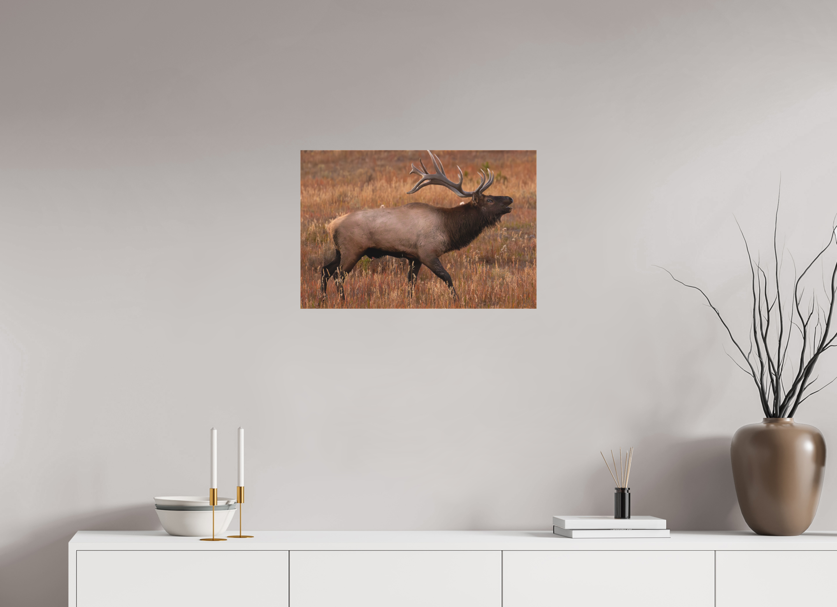 24 x 16″, Matte Canvas Stretcher Fall Royalty