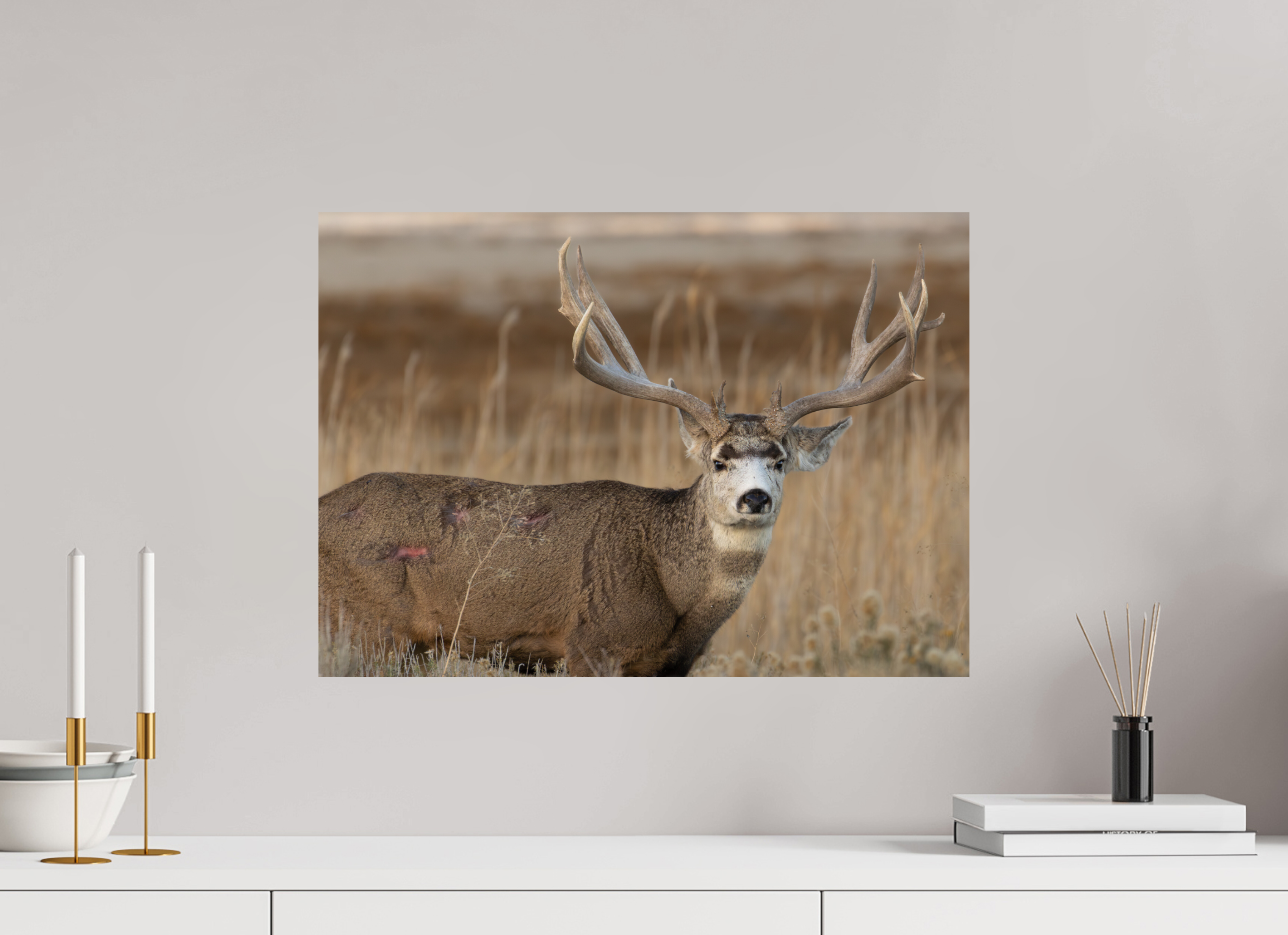 22.4 x 16″, Direct Print On Aluminum Color Old Warrior #2