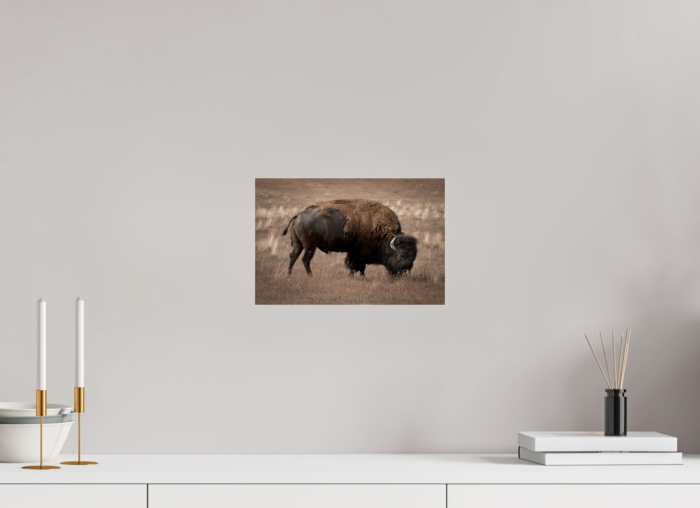 12 x 8″, Photo Print Under Acrylic Glass Home On The Plains