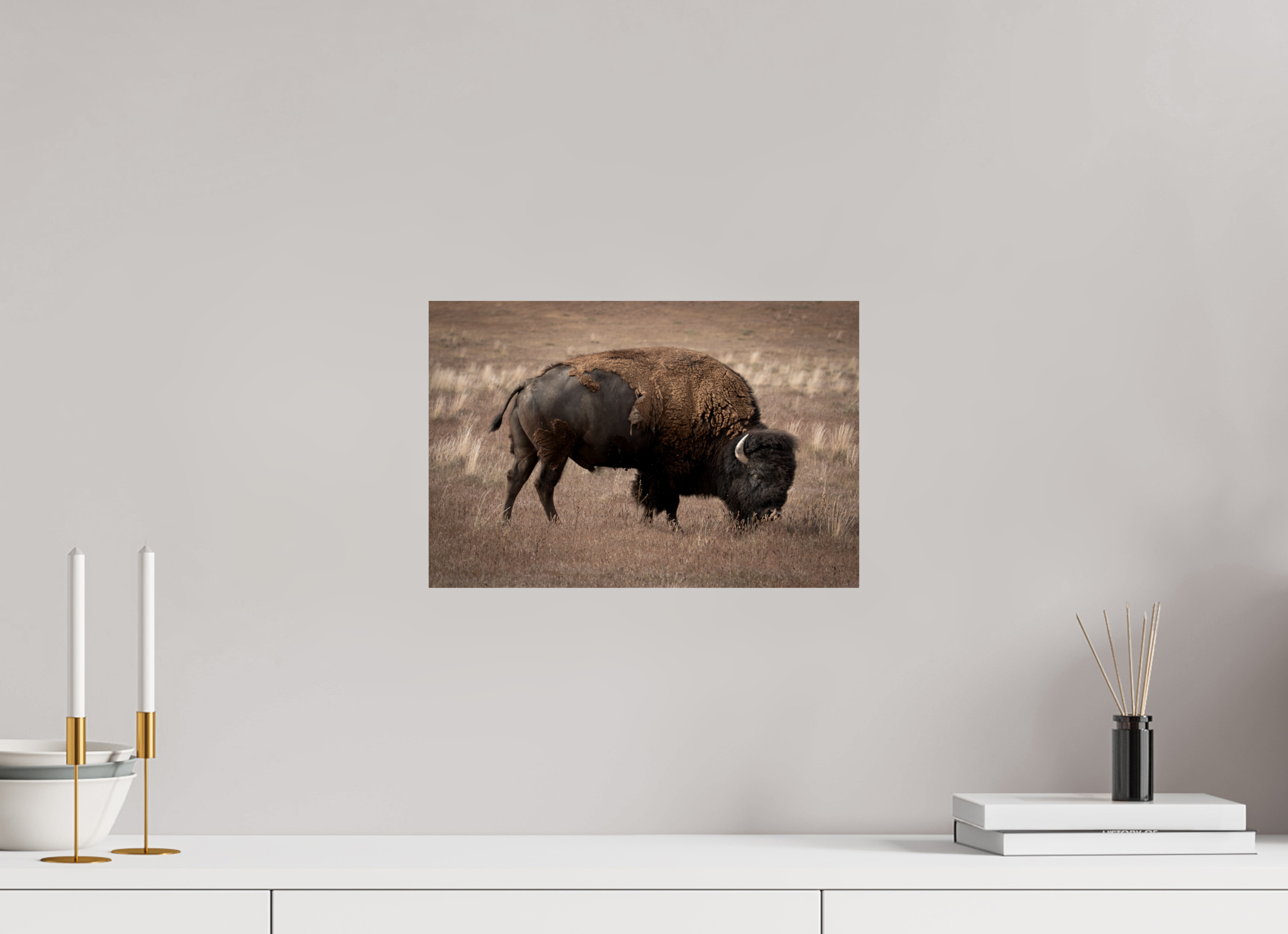 15 x 10″, Fine Art Print Home On The Plains