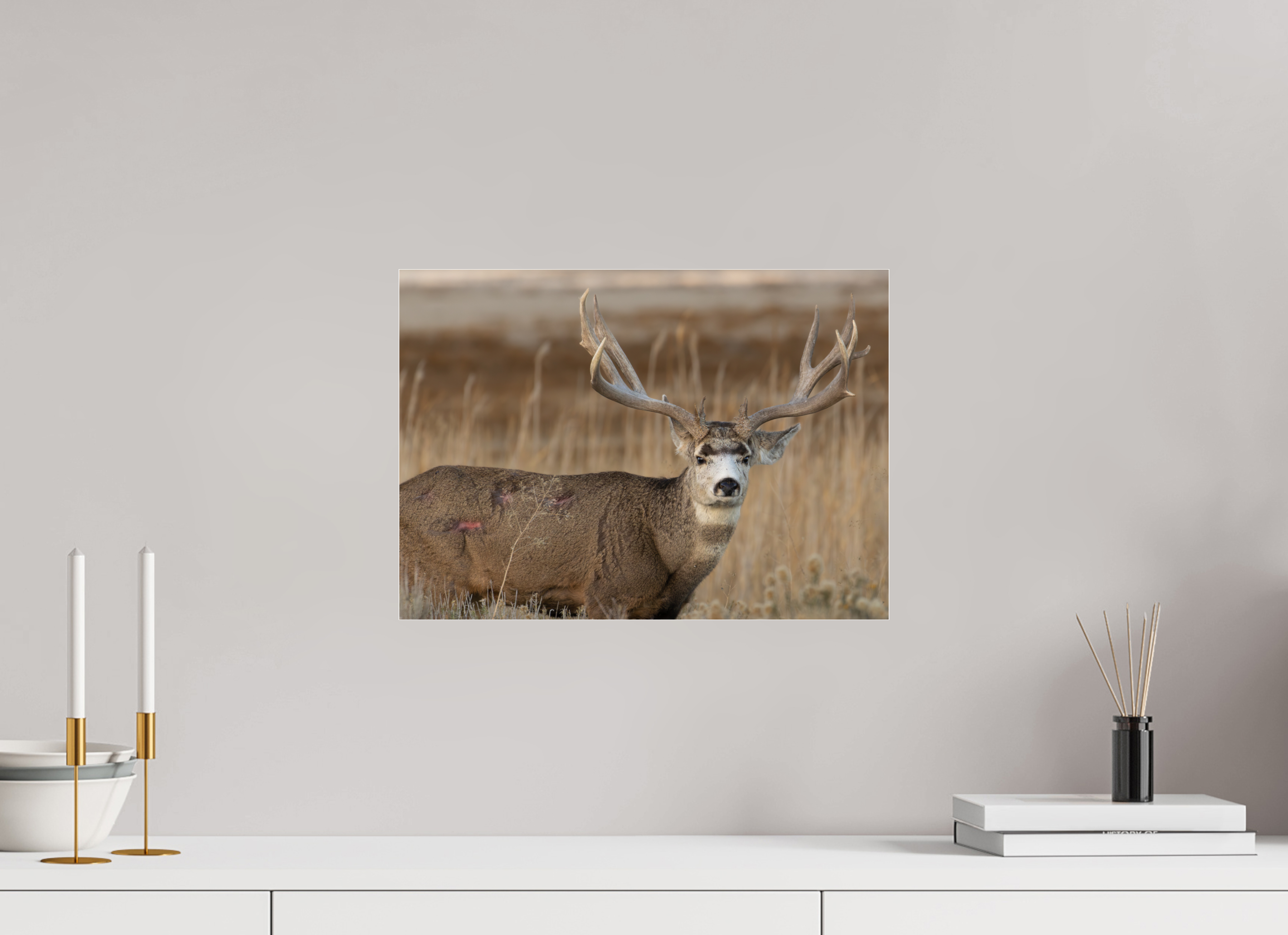 16.8 x 12″, Photo Print Under Acrylic Glass Old Warrior #2