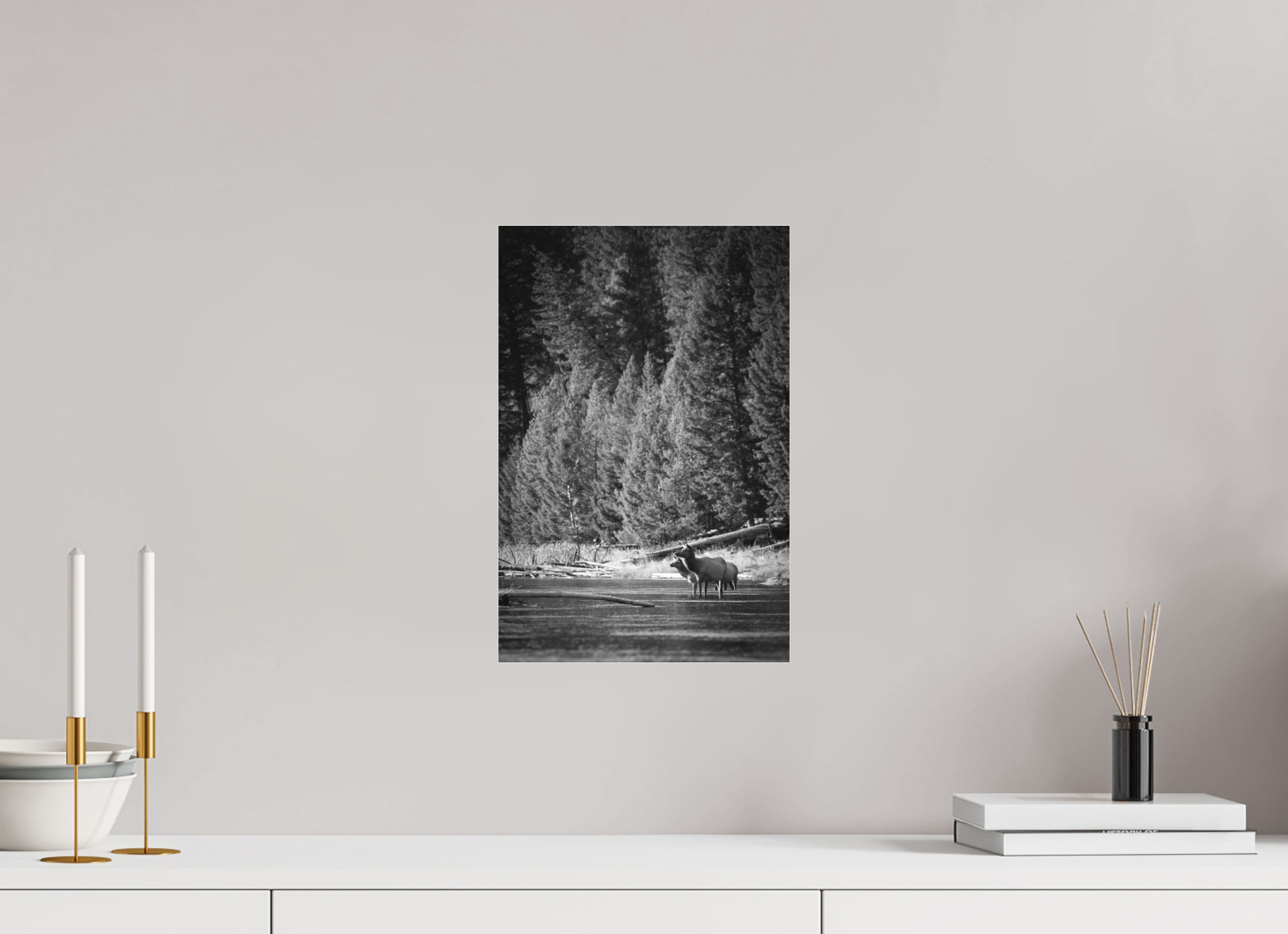 10 x 15″, B&W Photo Print Under Acrylic Glass River Refuge