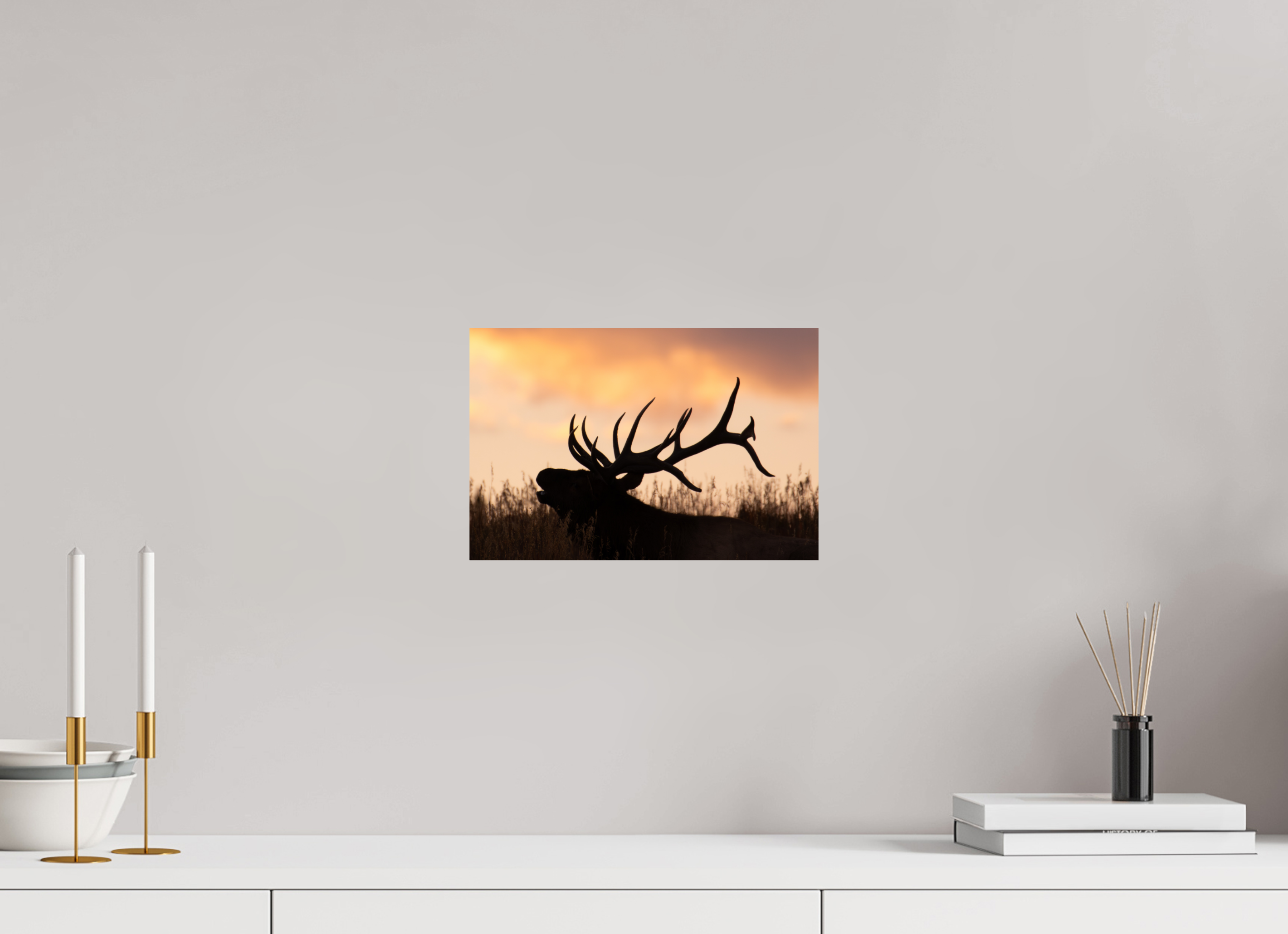 12 x 8″, Direct Print On Aluminum Color A King's Crown