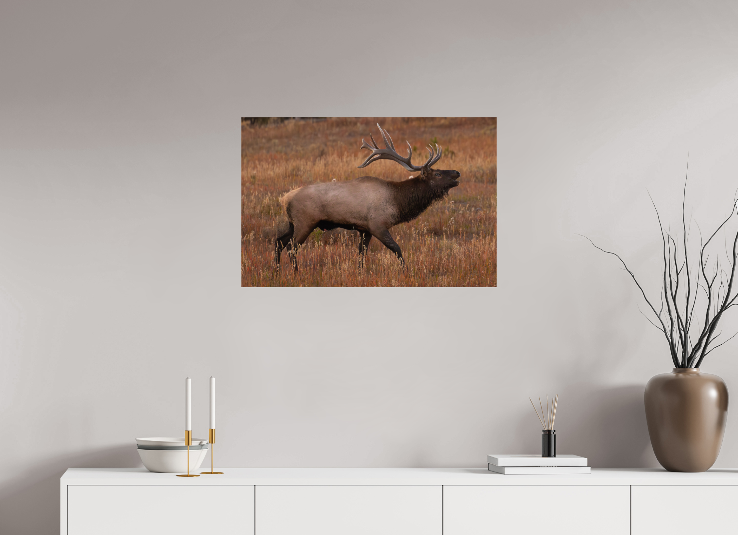 30 x 20″, Photo Print Under Acrylic Glass Fall Royalty