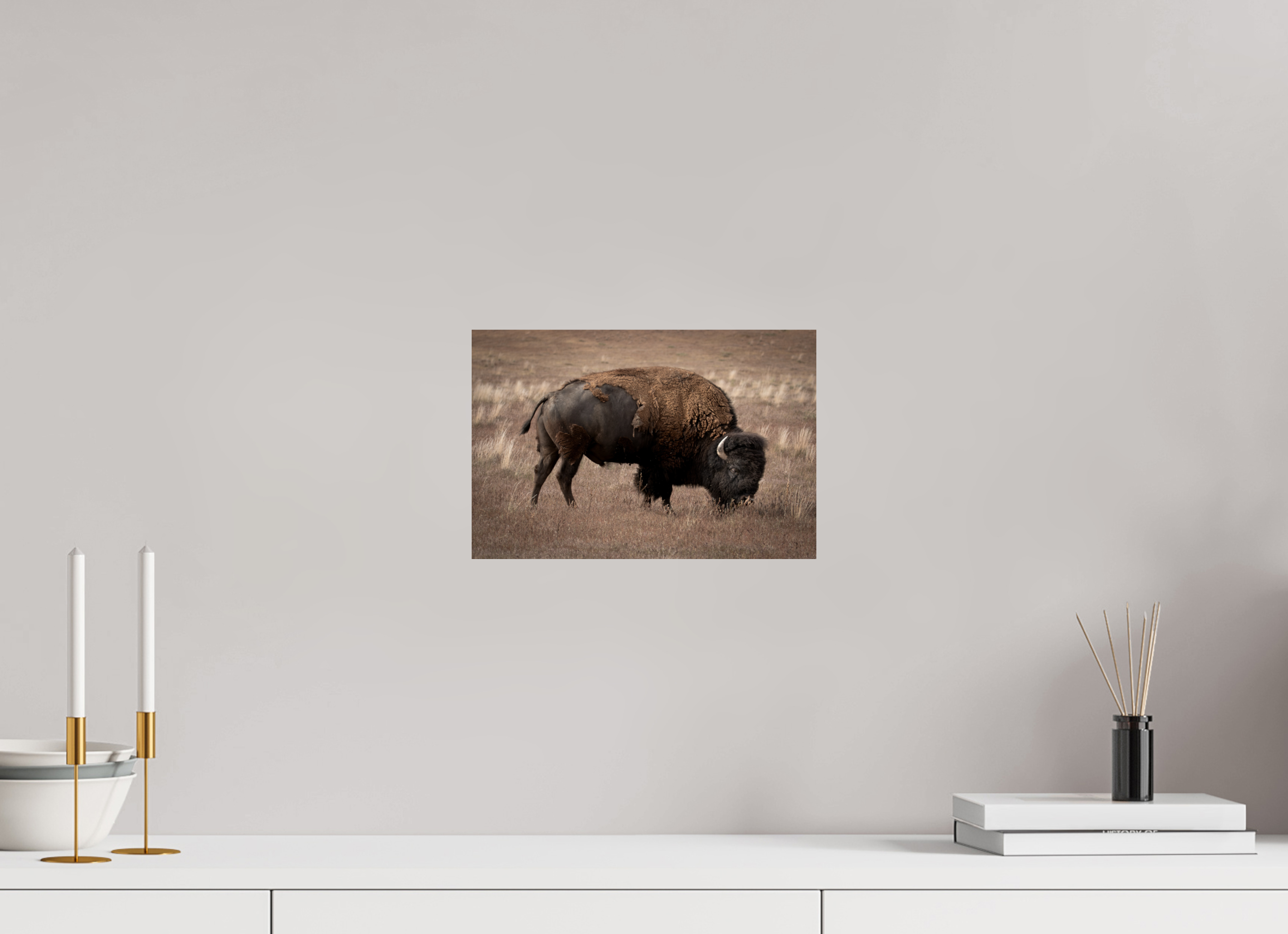 12 x 8″, Photo Print On Fuji Crystal DP II Paper Home On The Plains