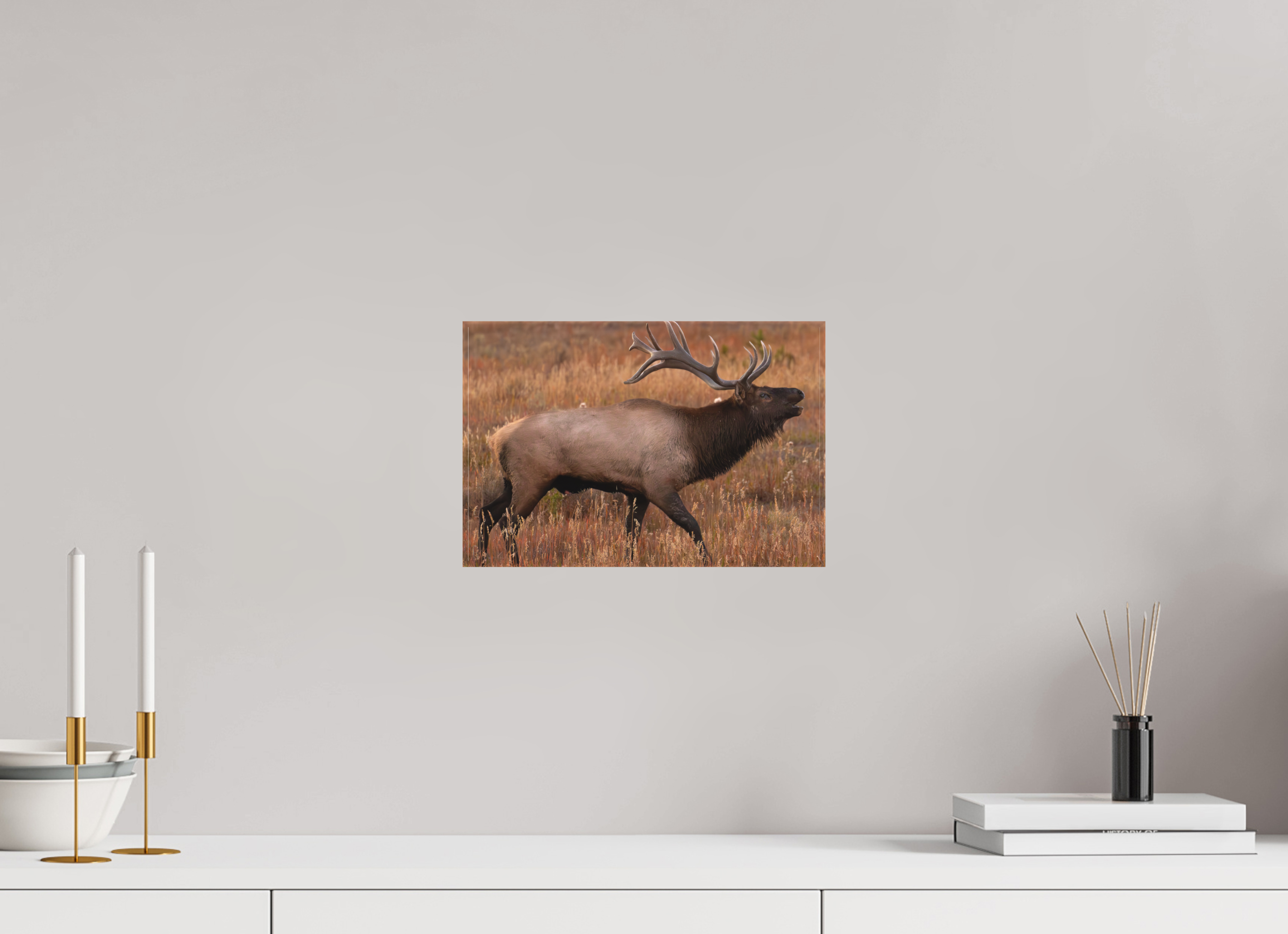 12 x 8″, Matte Canvas Stretcher Fall Royalty