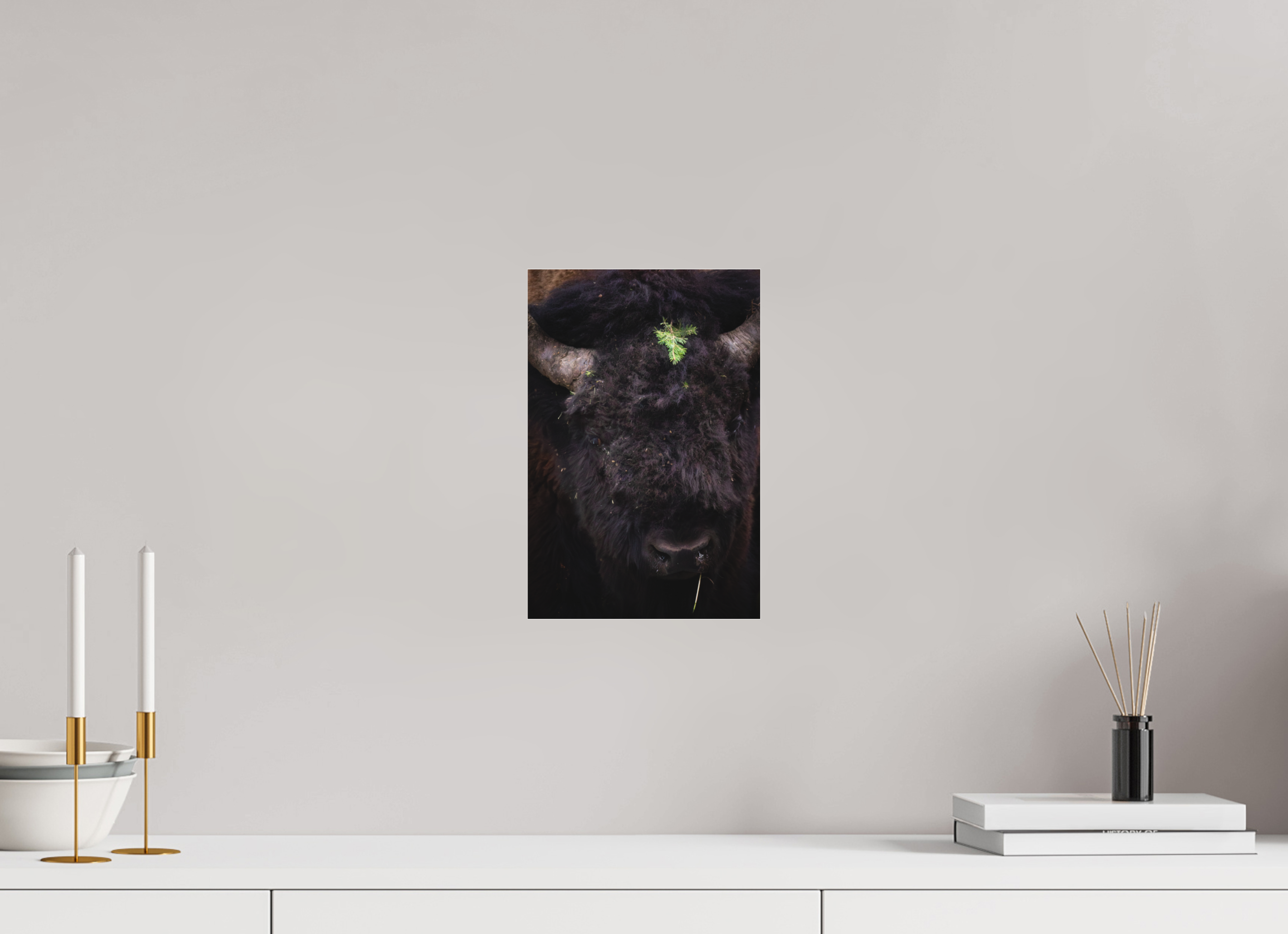 8 x 12″, Photo Print Under Matte Acrylic Glass Dressed To Impress