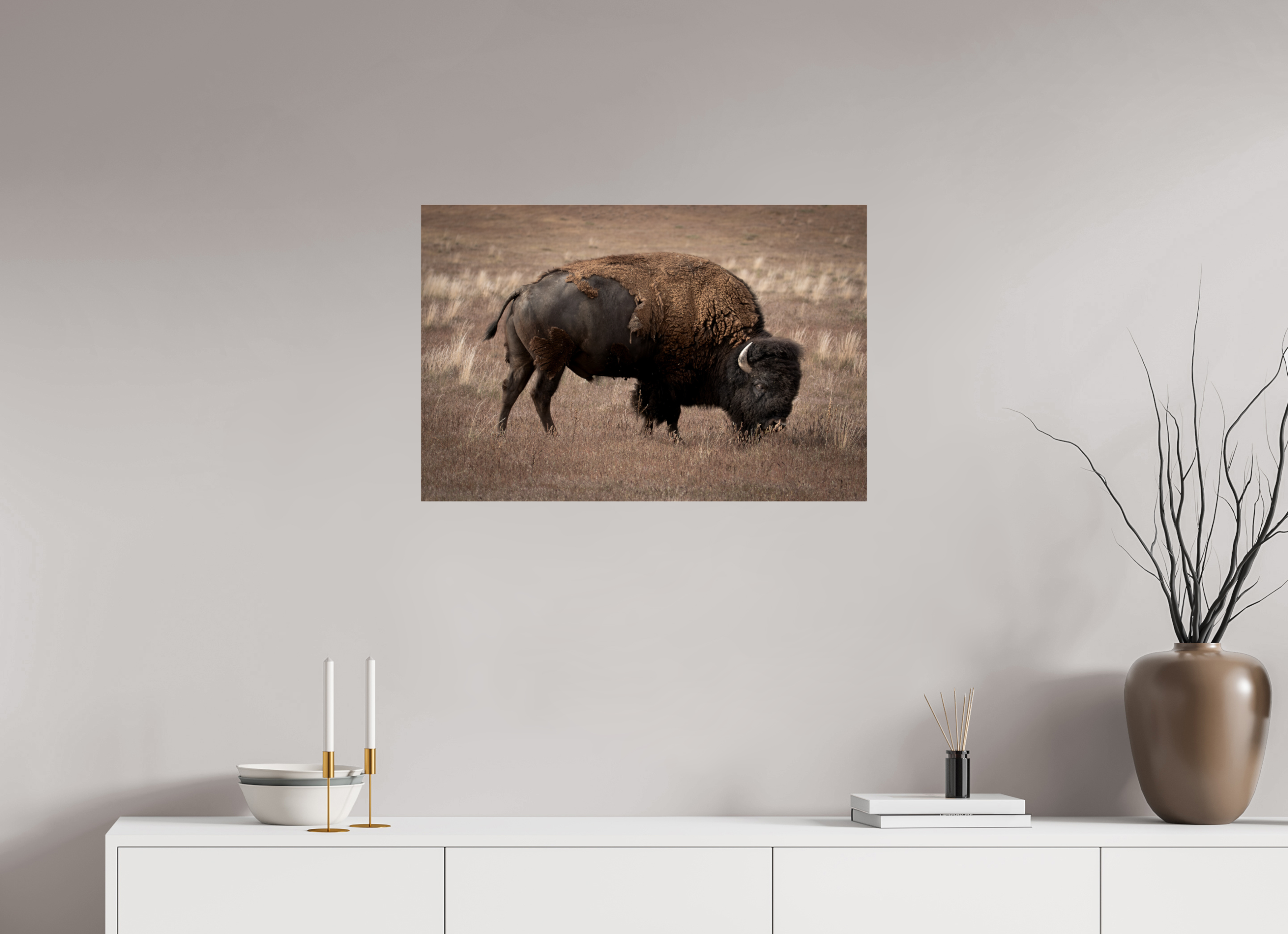 30 x 20″, Photo Print Under Acrylic Glass Home On The Plains